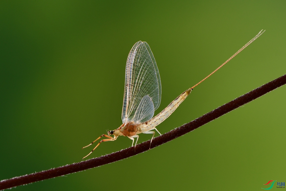 DSC_0907_����.jpg