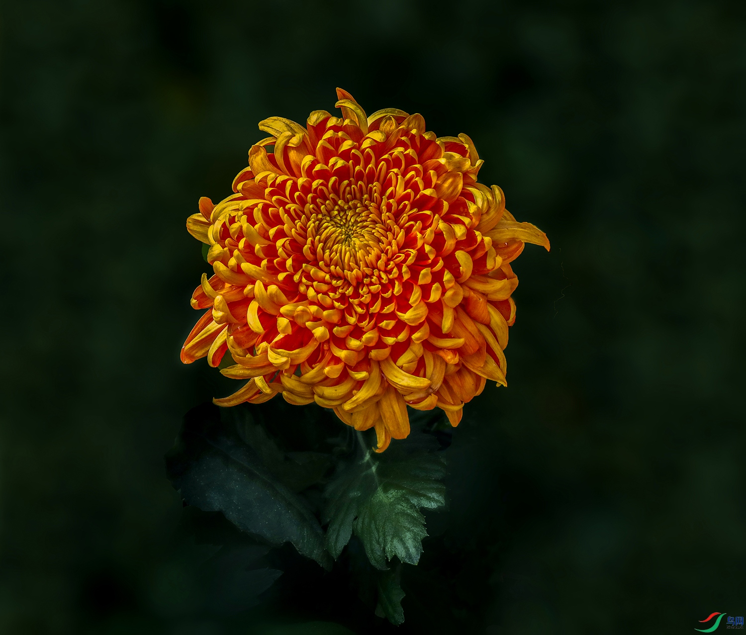 0000583A0582 ����� 1000k.jpg