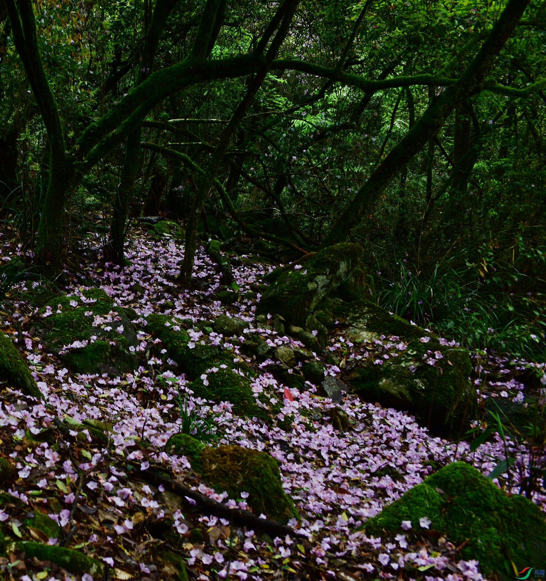 D8I_8120.jpg