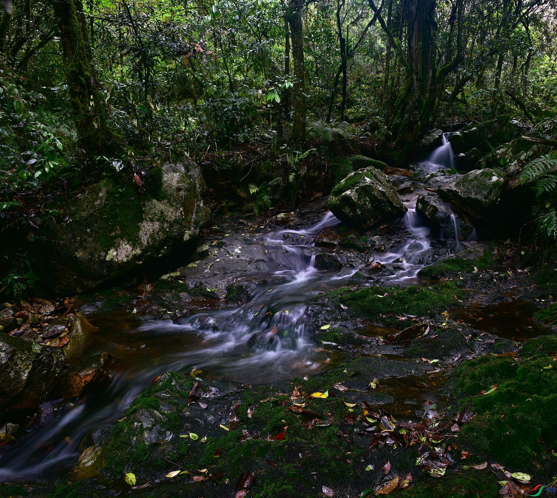 D8I_9779.jpg