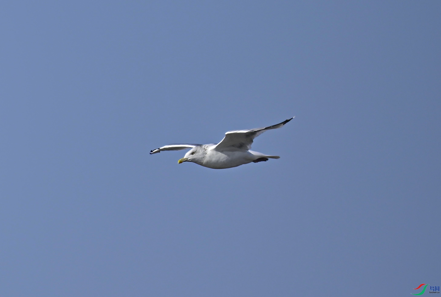 _DSC8410f.jpg