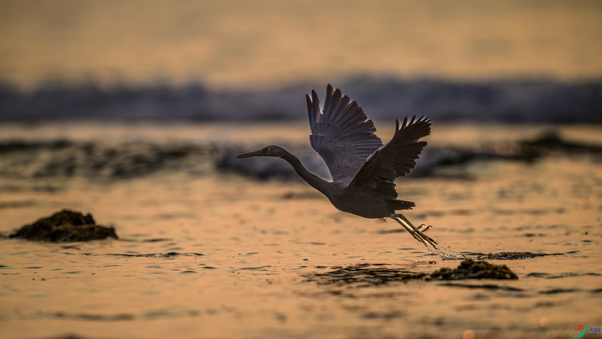 1_XXL8220-����ǿ-NR ���� 2.jpeg