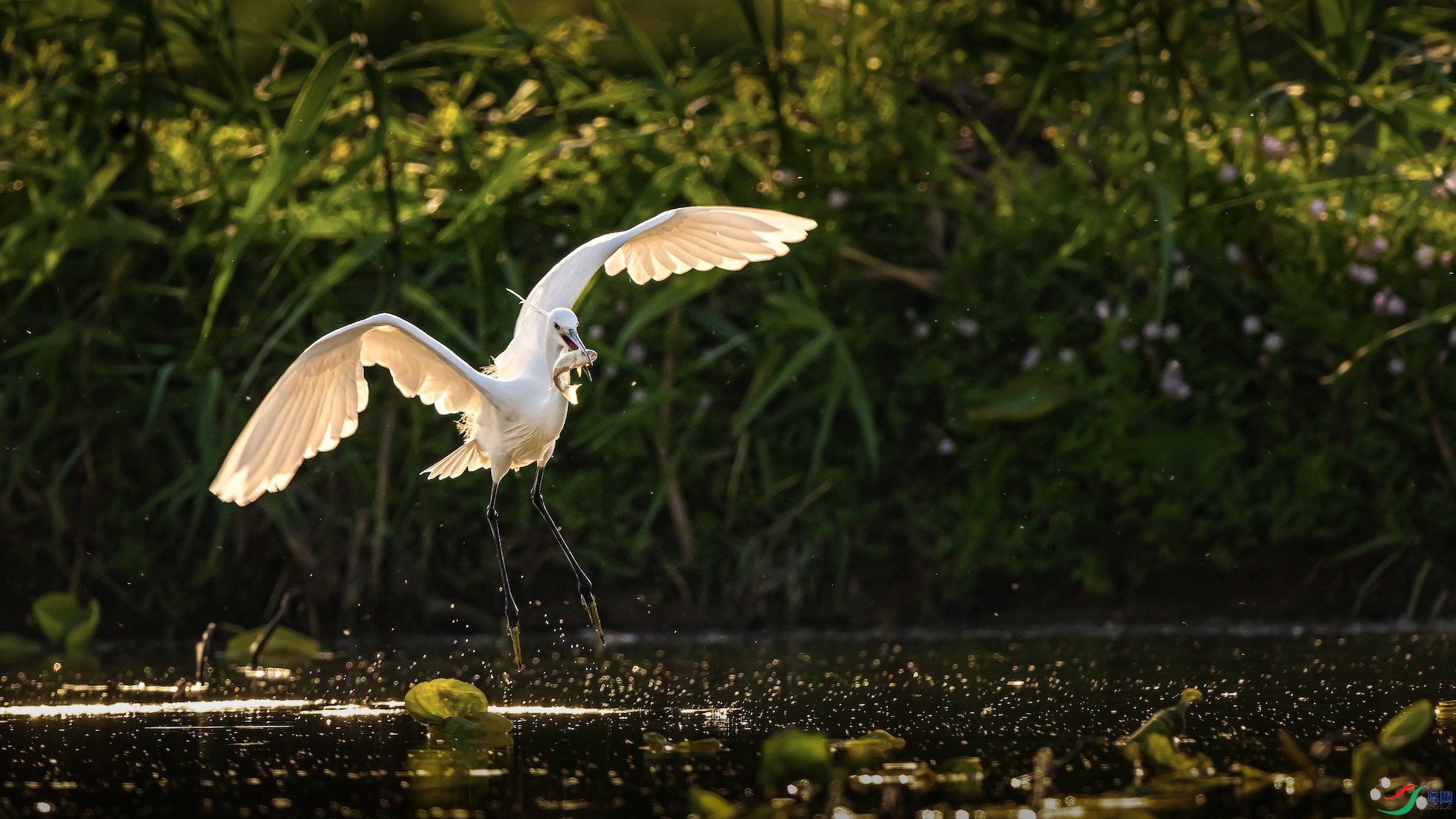 3_XXI8199 ����.jpeg