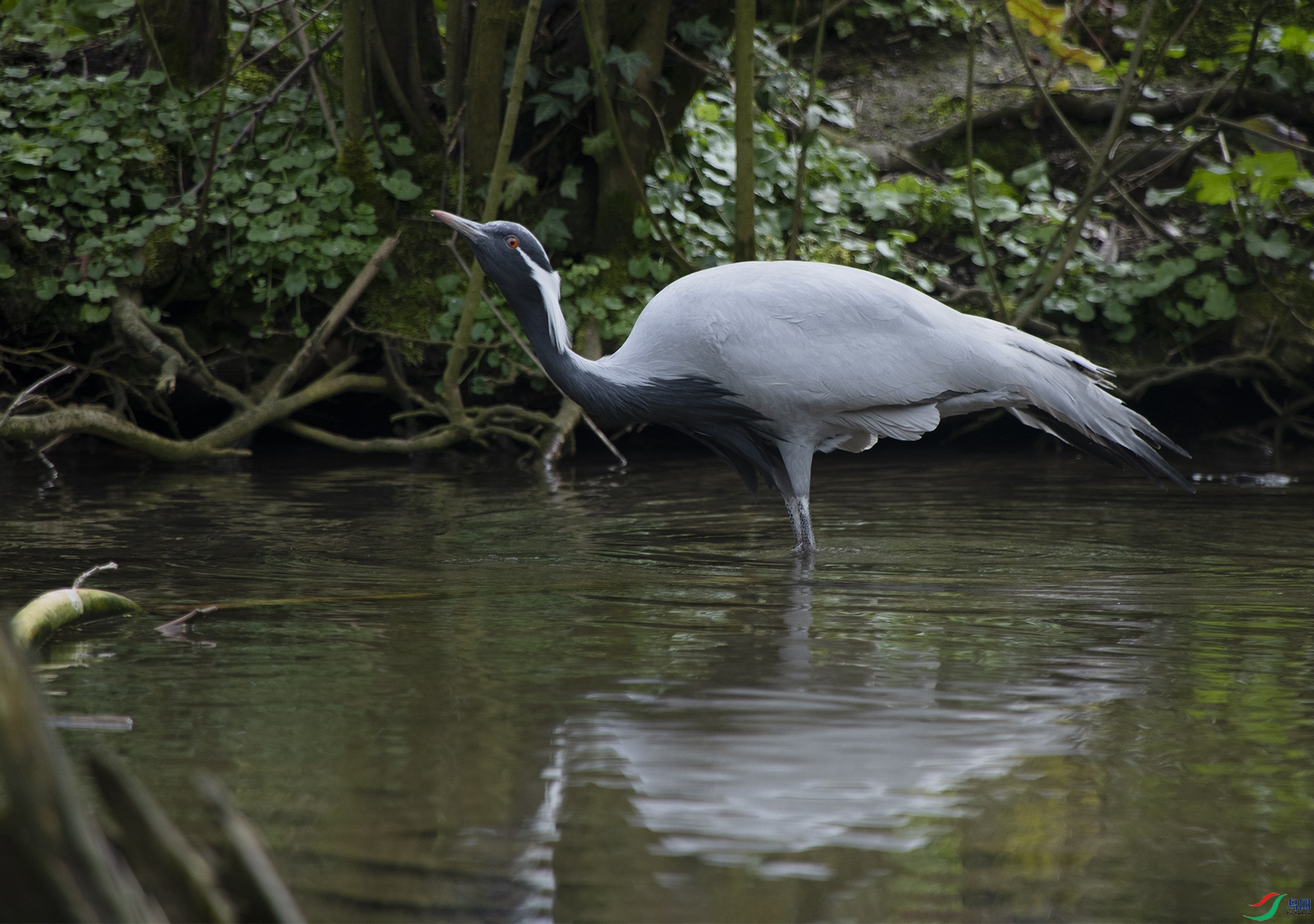 XQD_3016 �����.jpg