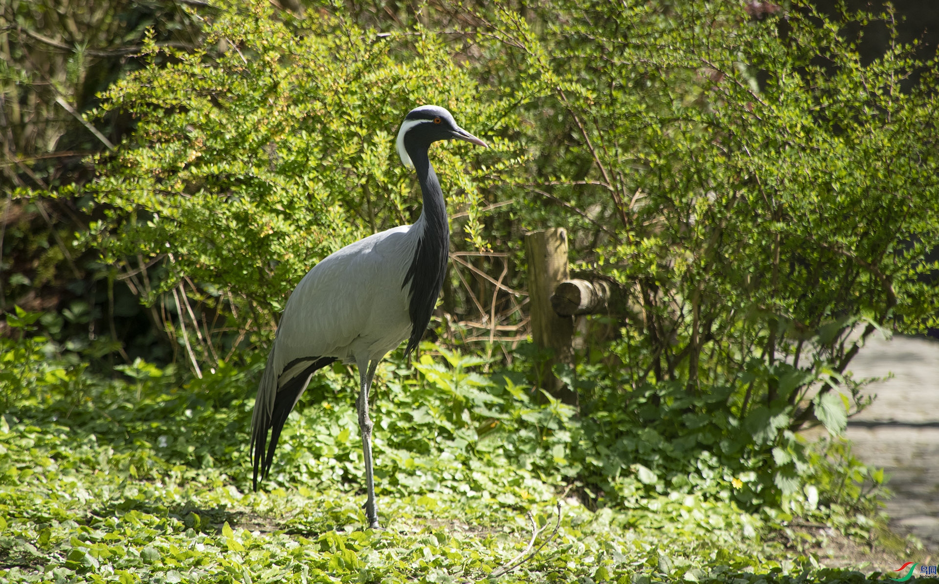 XQD_3700 �����.jpg