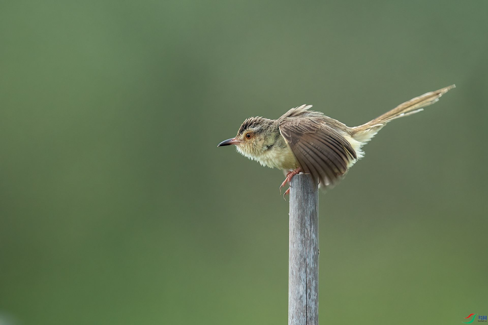 DSC_5911.jpg