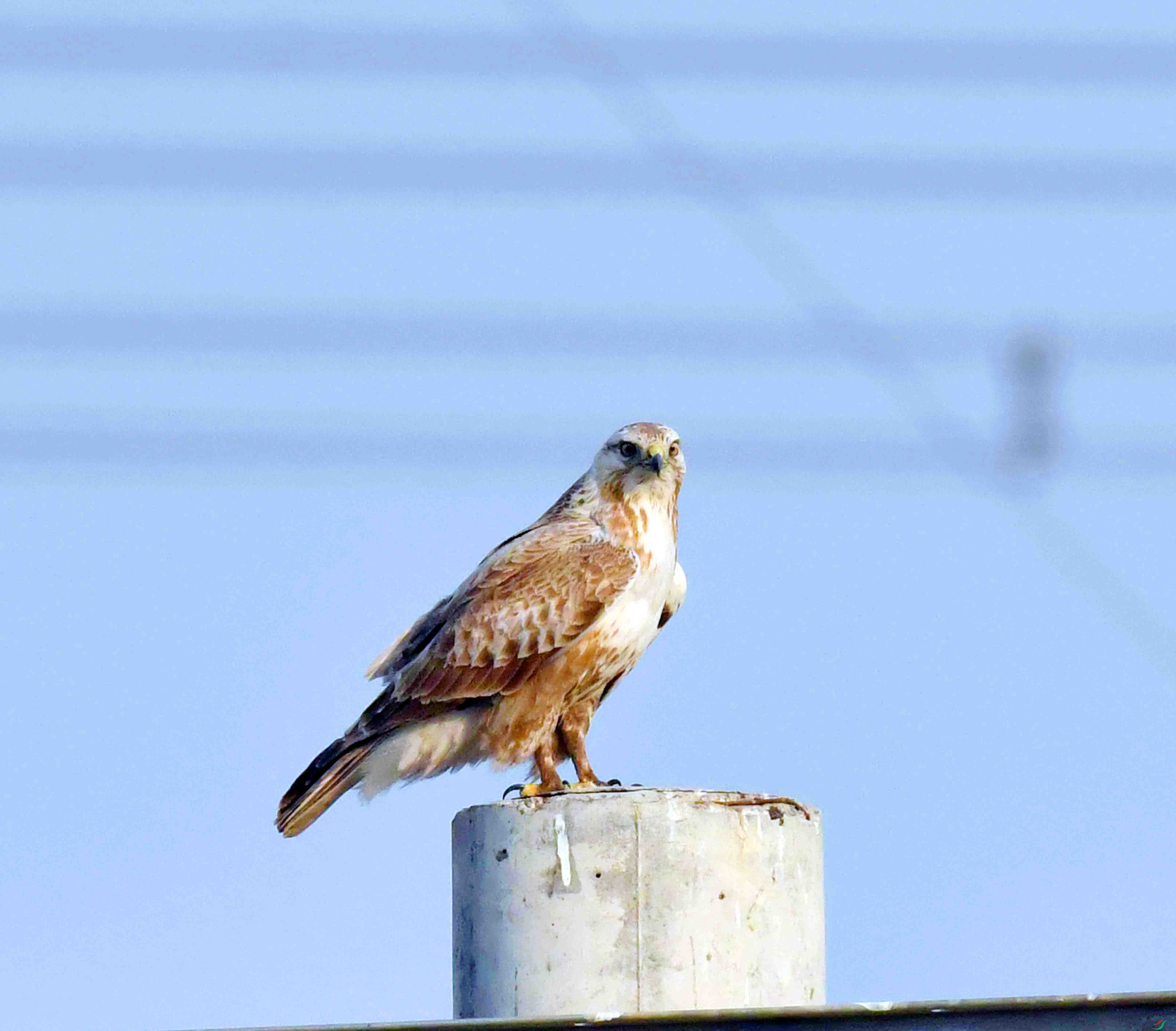 DSC_6090.JPG
