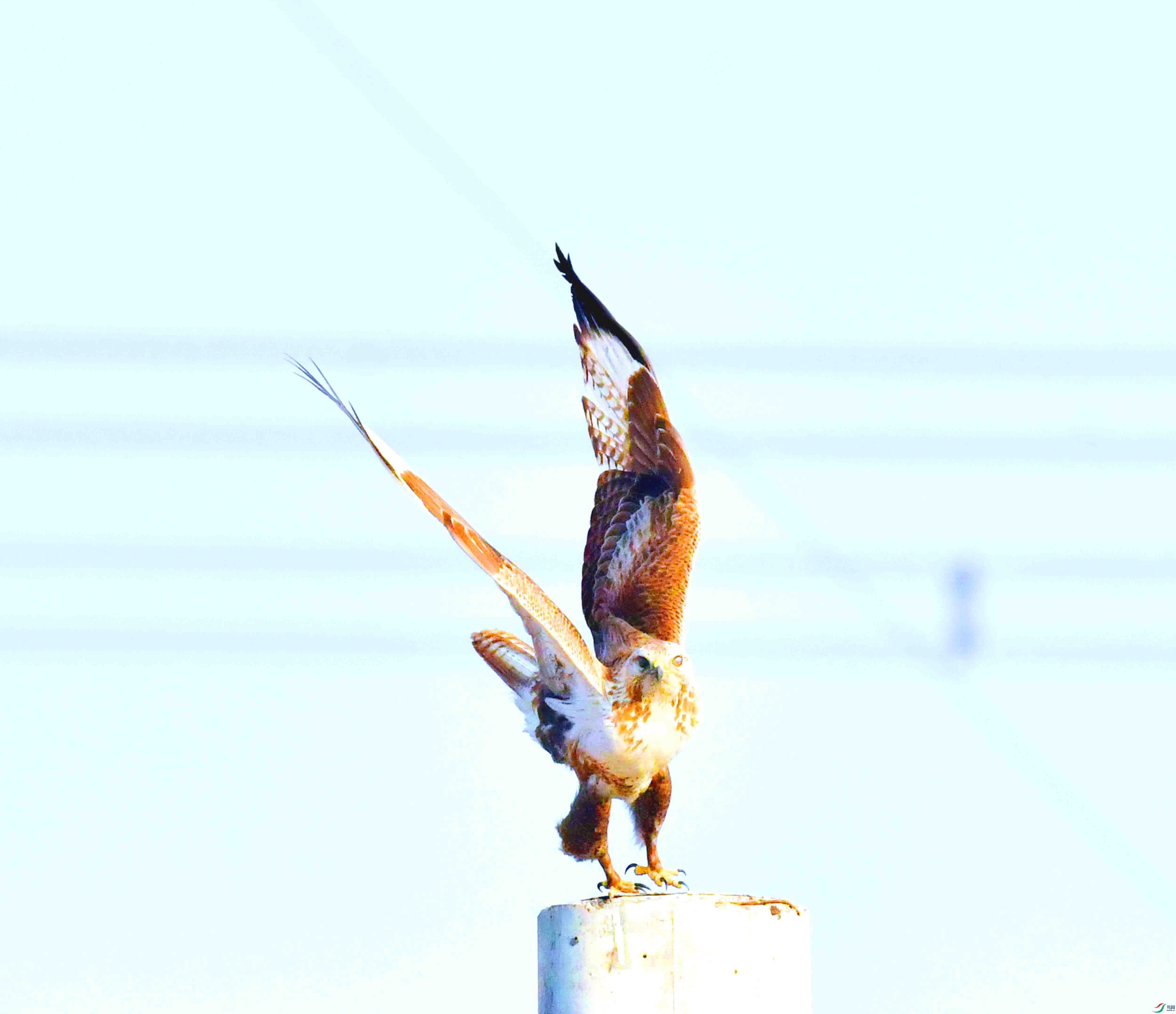 DSC_6094.JPG