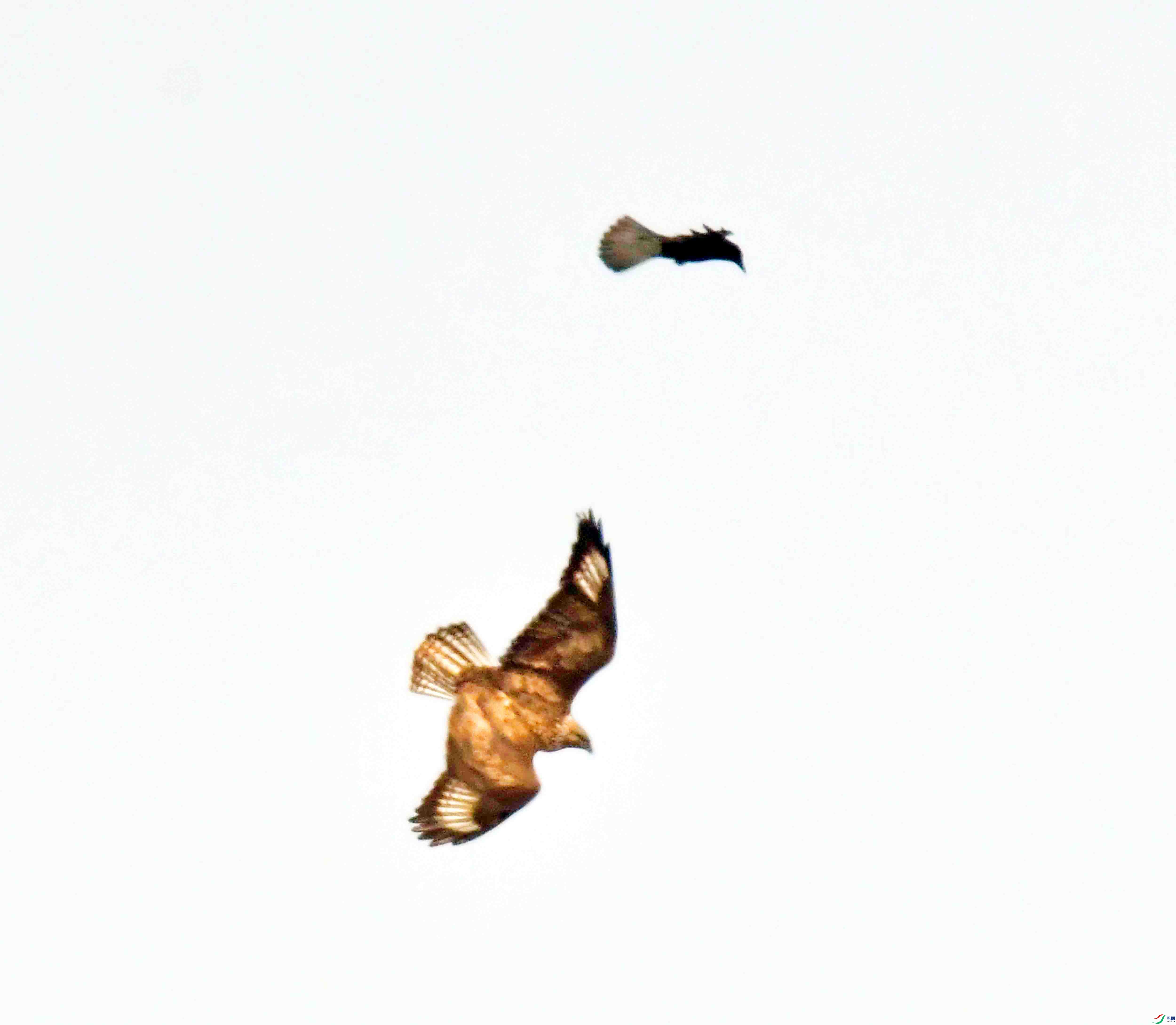 DSC_6861.JPG