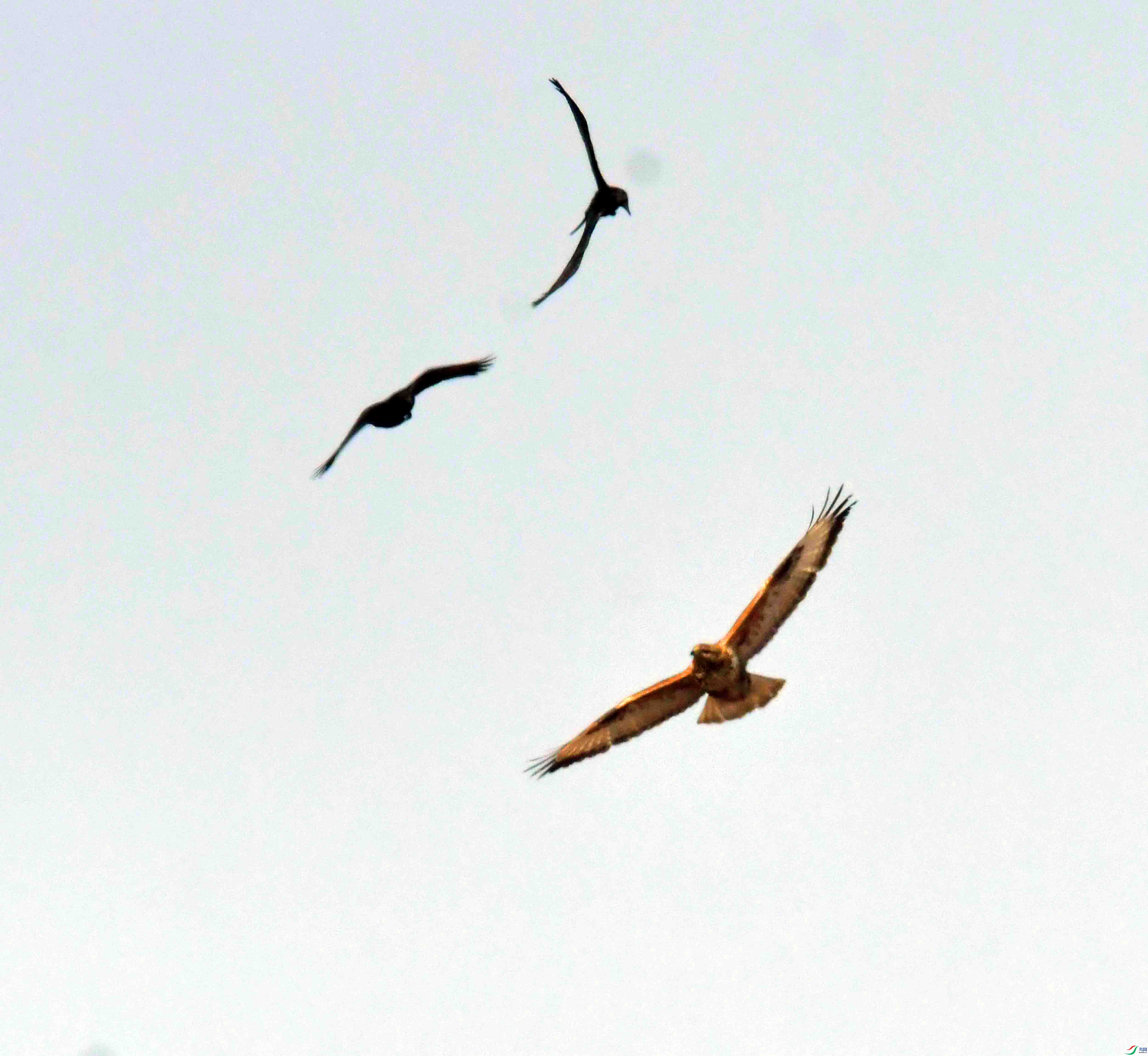DSC_6864.JPG