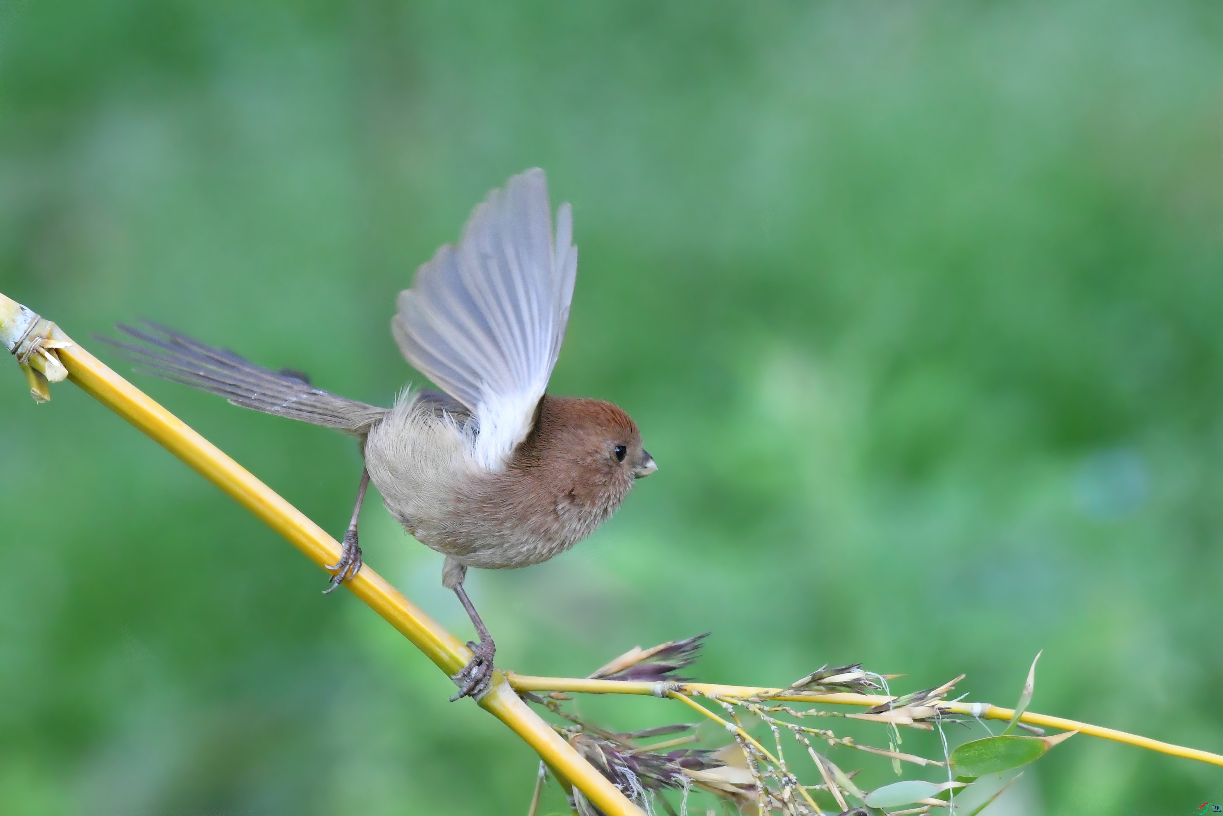 DSC_8716.JPG