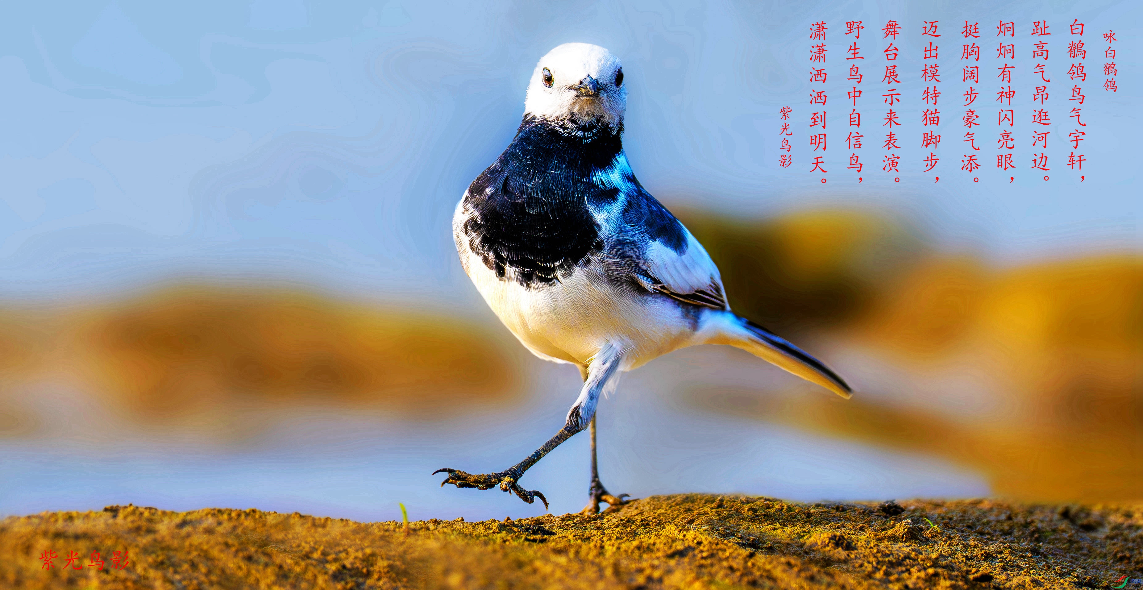 _CDS7278����_����.jpg
