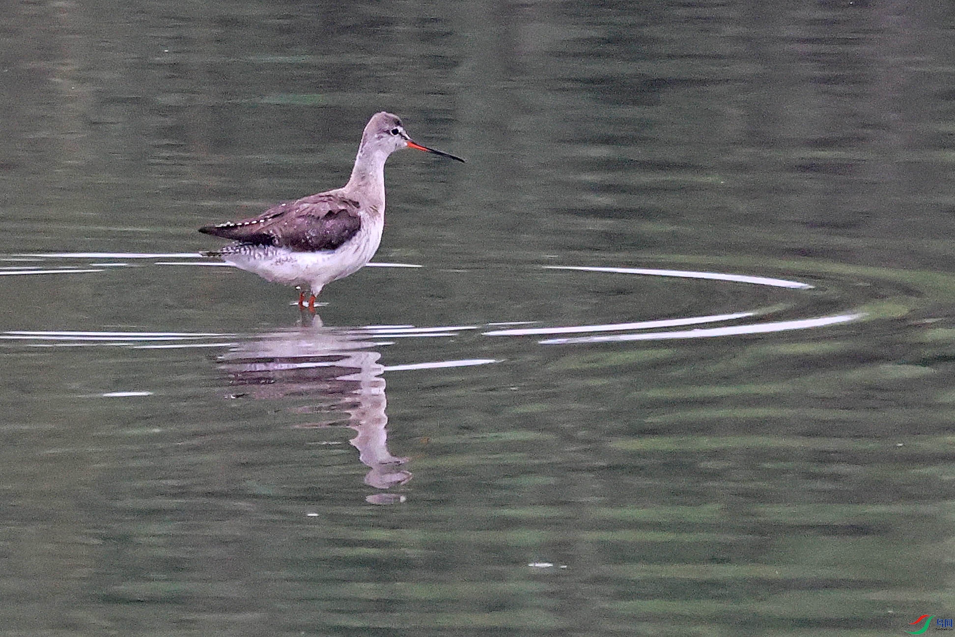 2G9A0952.JPG