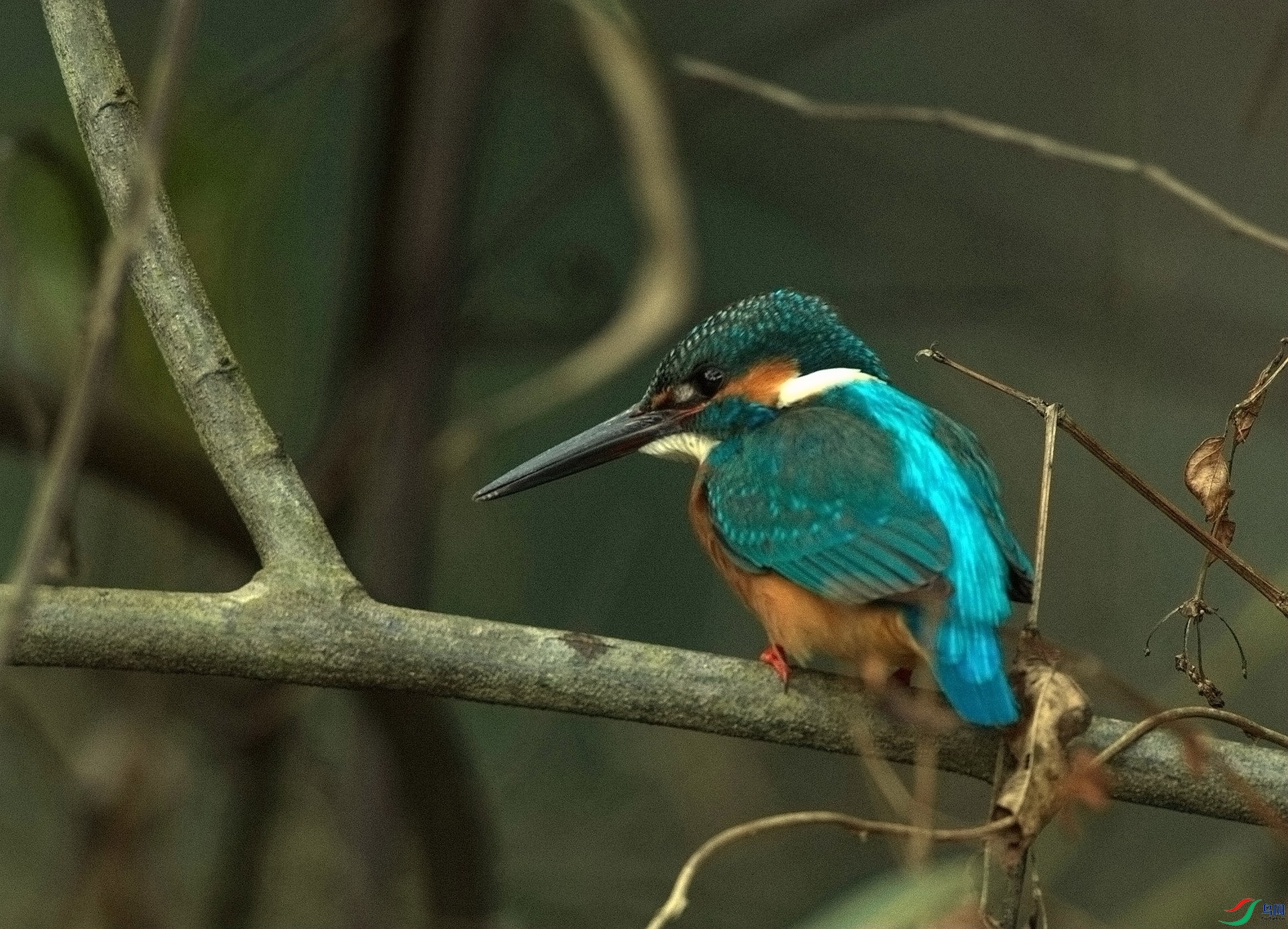 1DS_4545.jpg