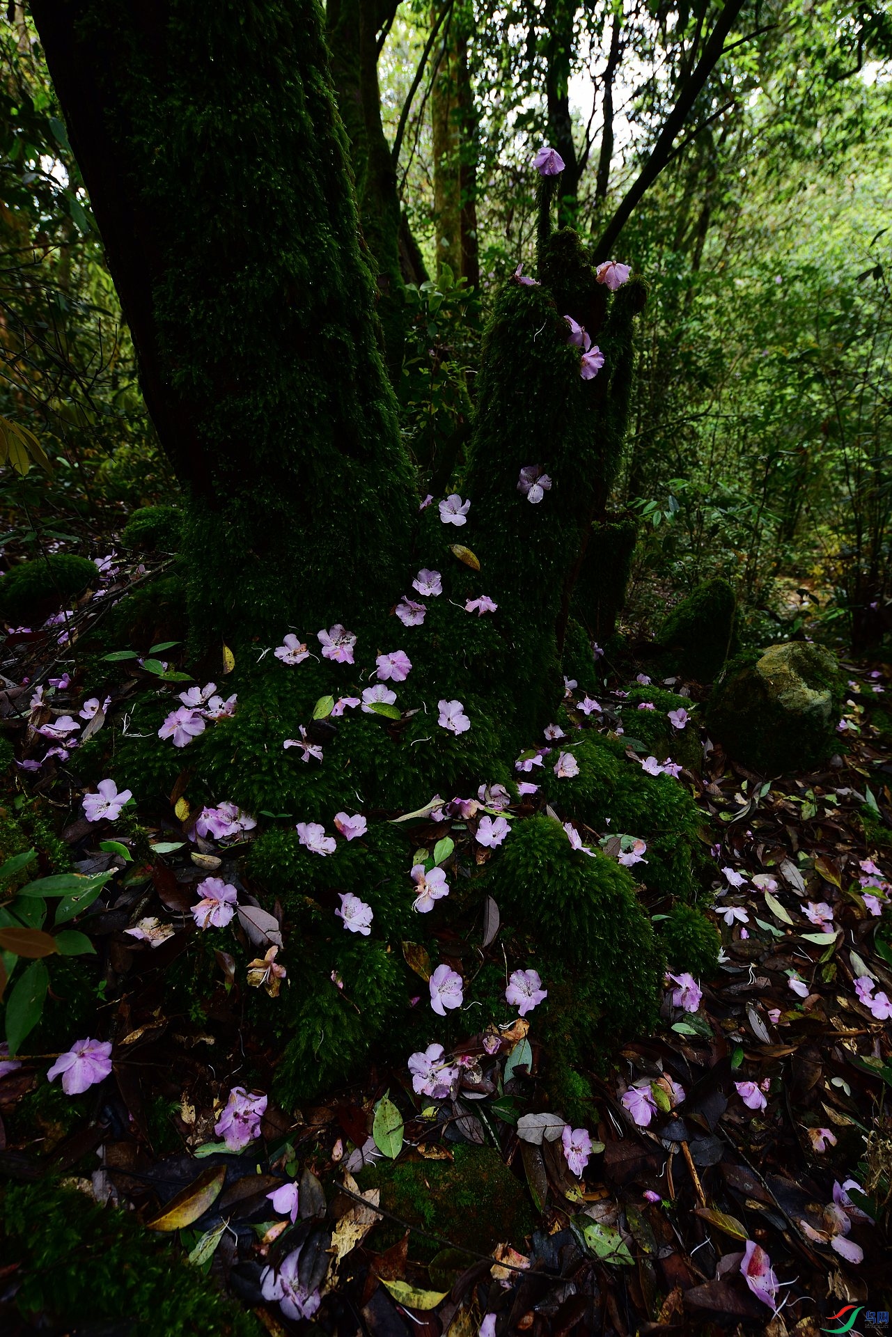 D8I_8199.jpg
