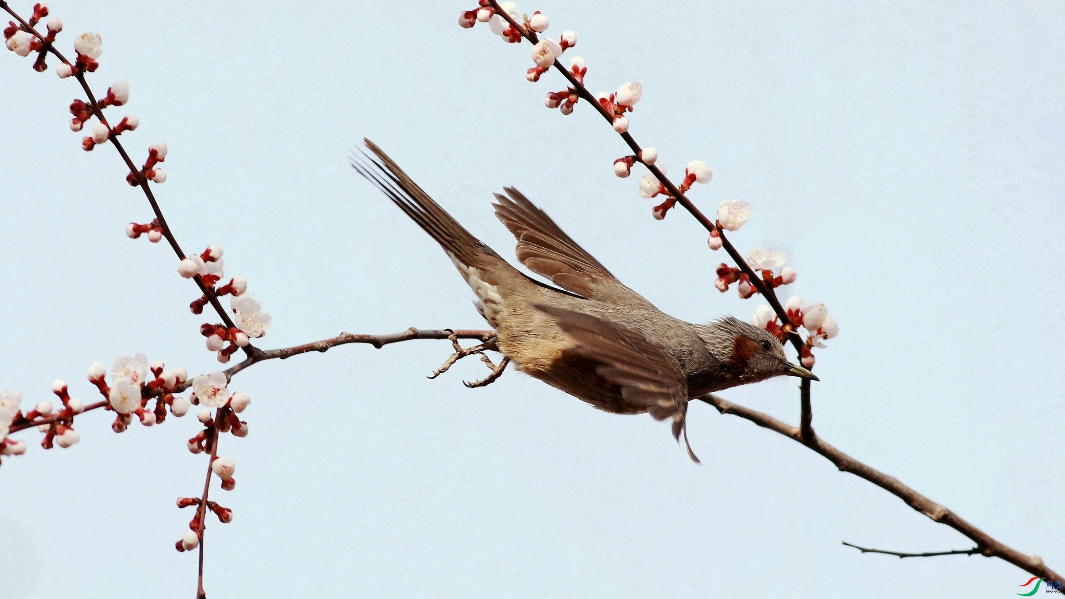 �����ǻ���ͼ3