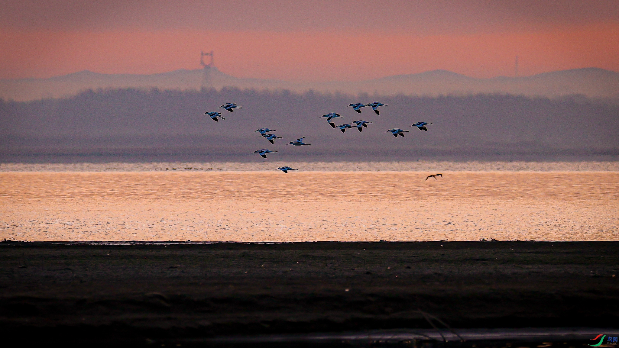 ������ 3