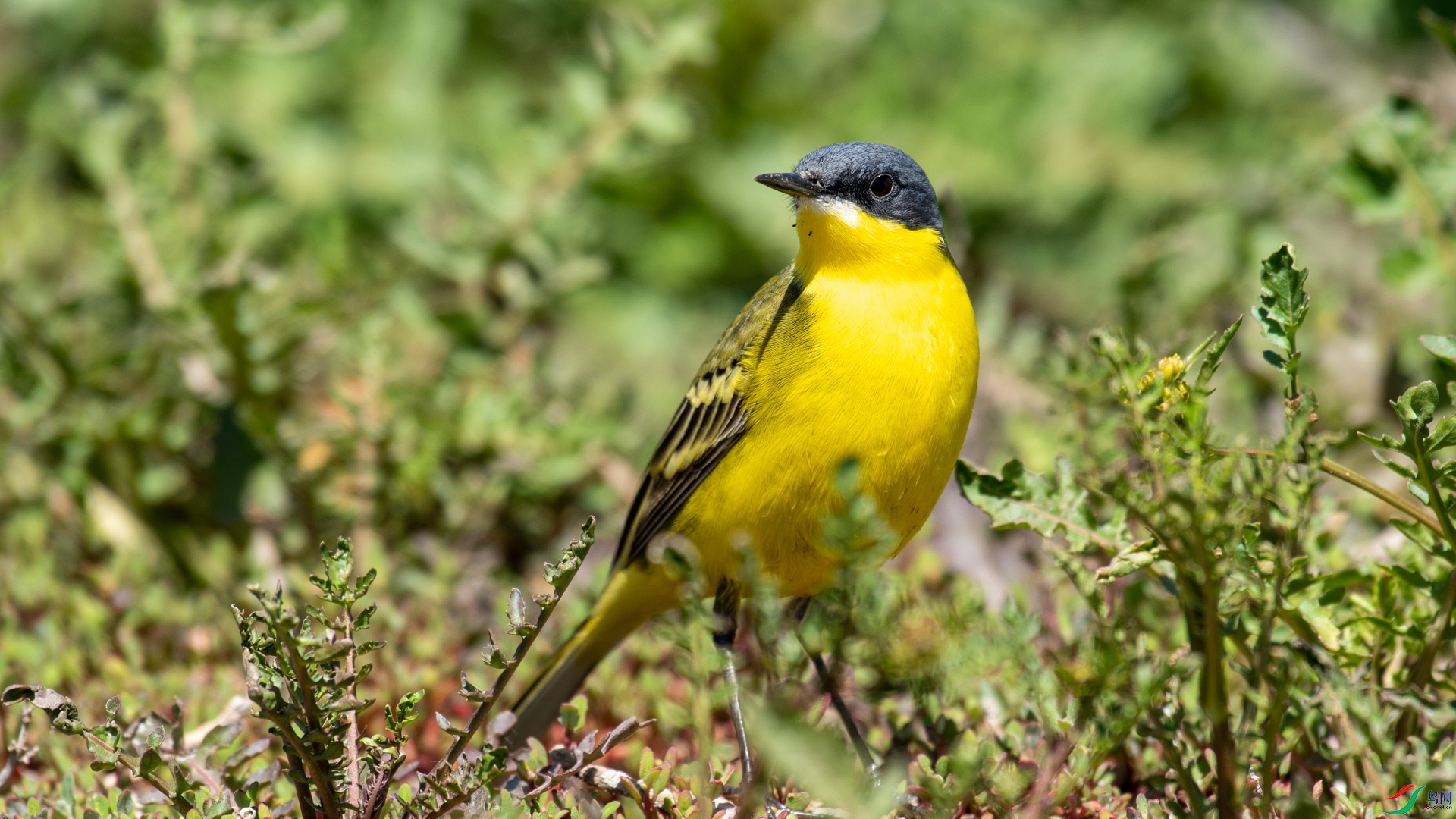 DSC_1239.jpg