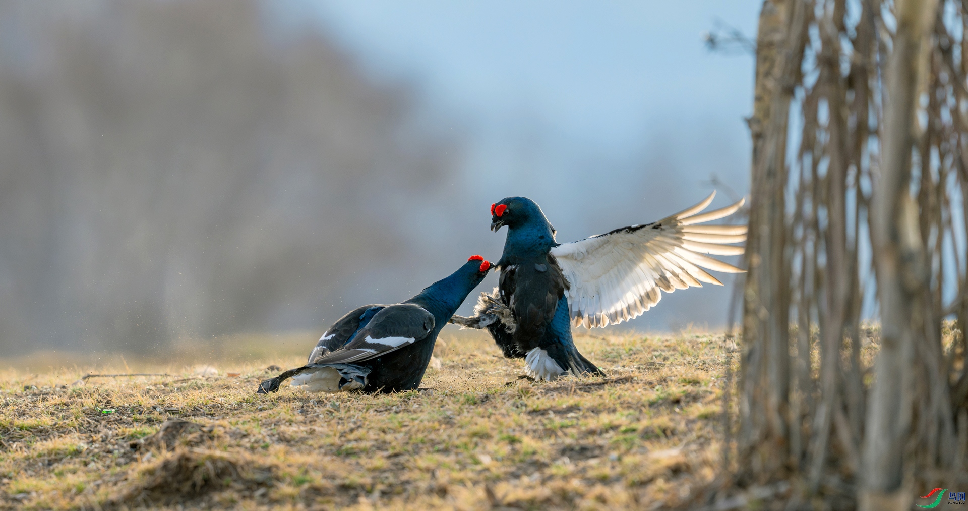 _DSC3896==1w.jpg