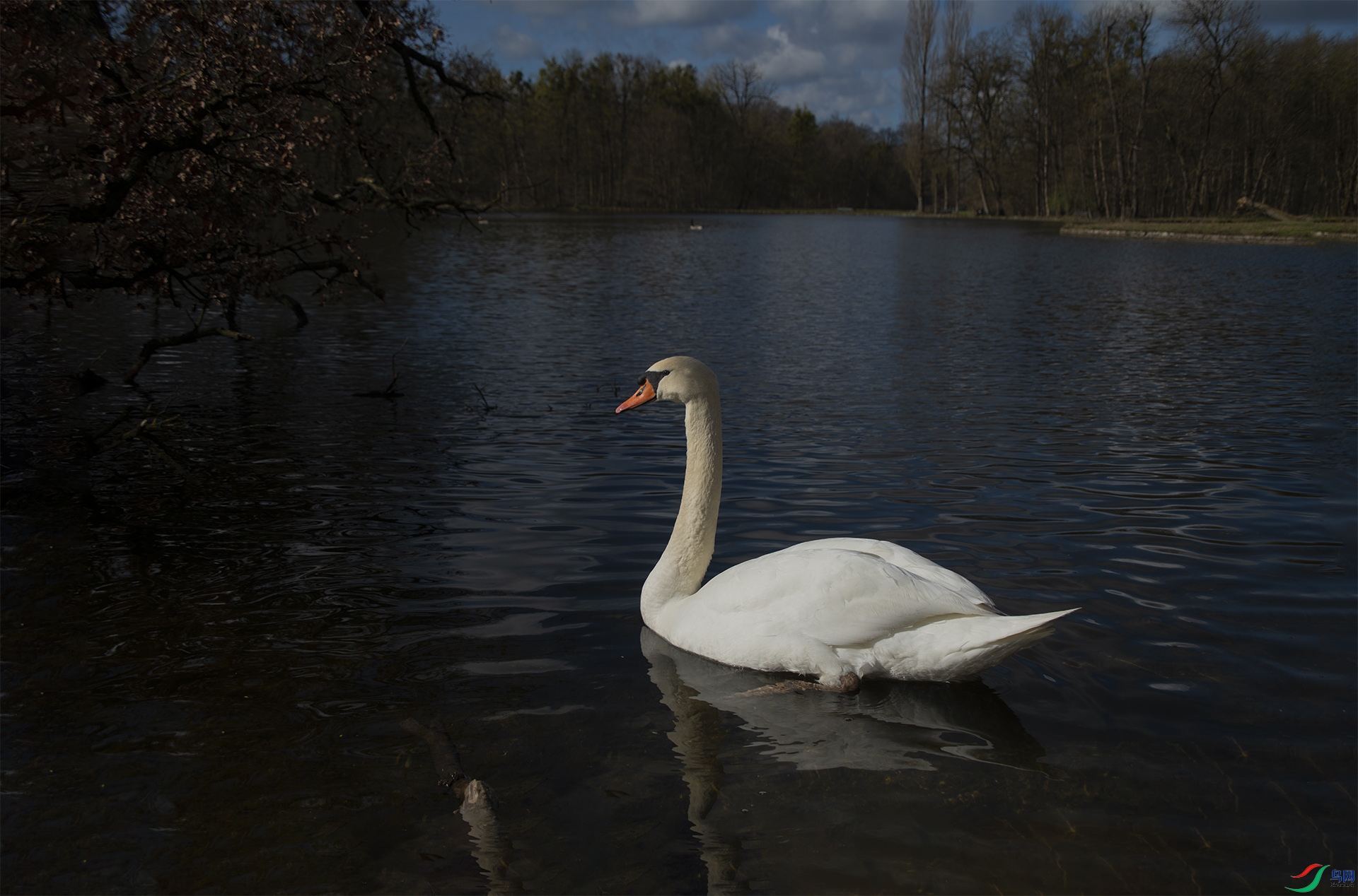 XQD_0279 ������.jpg