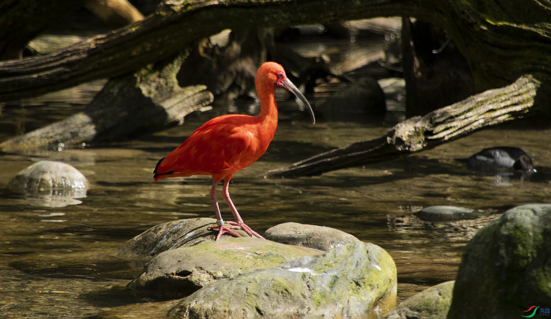 XQD_3705 ���޺��q.jpg