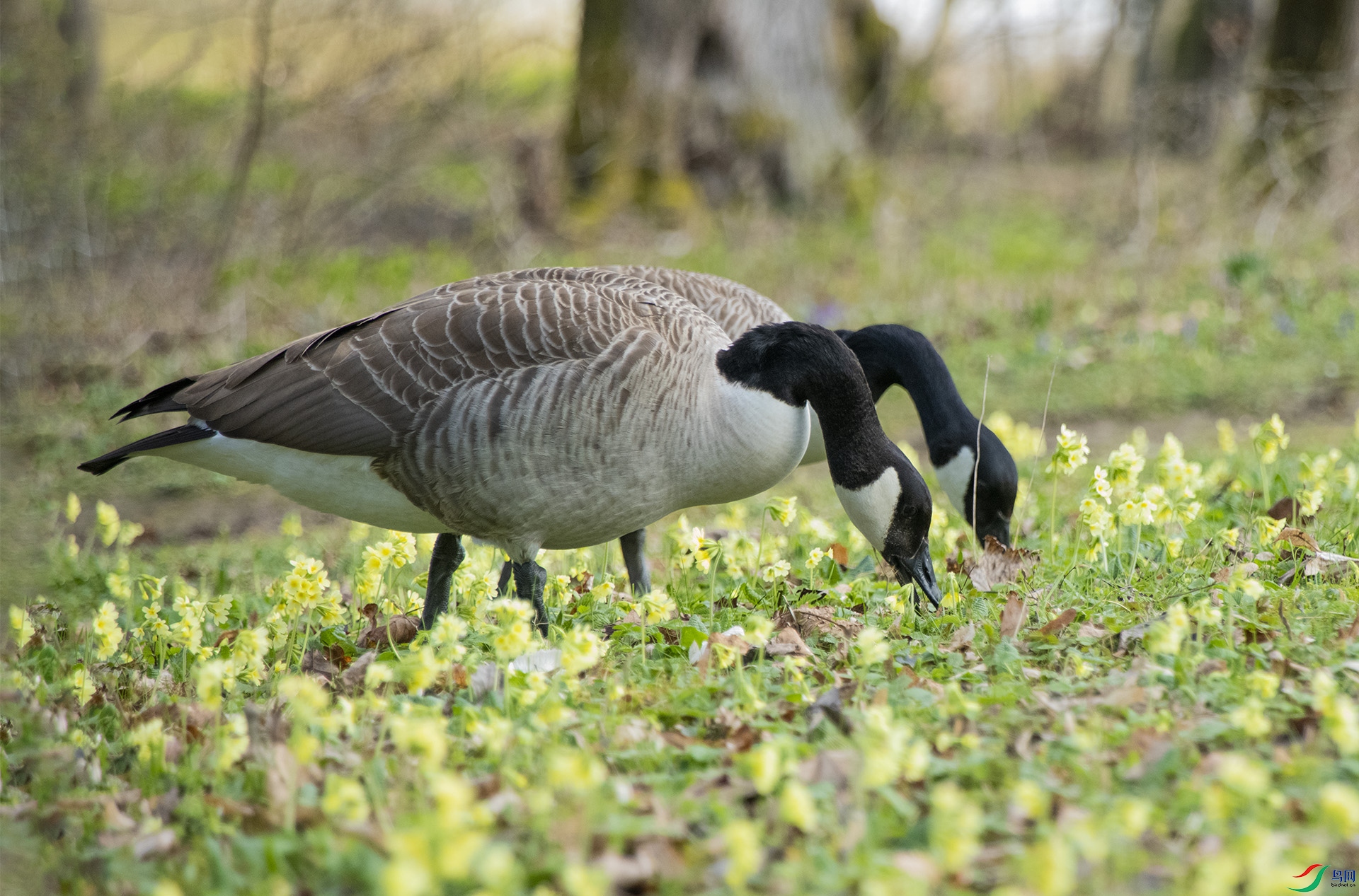 XQD_0063 ���ô����.jpg