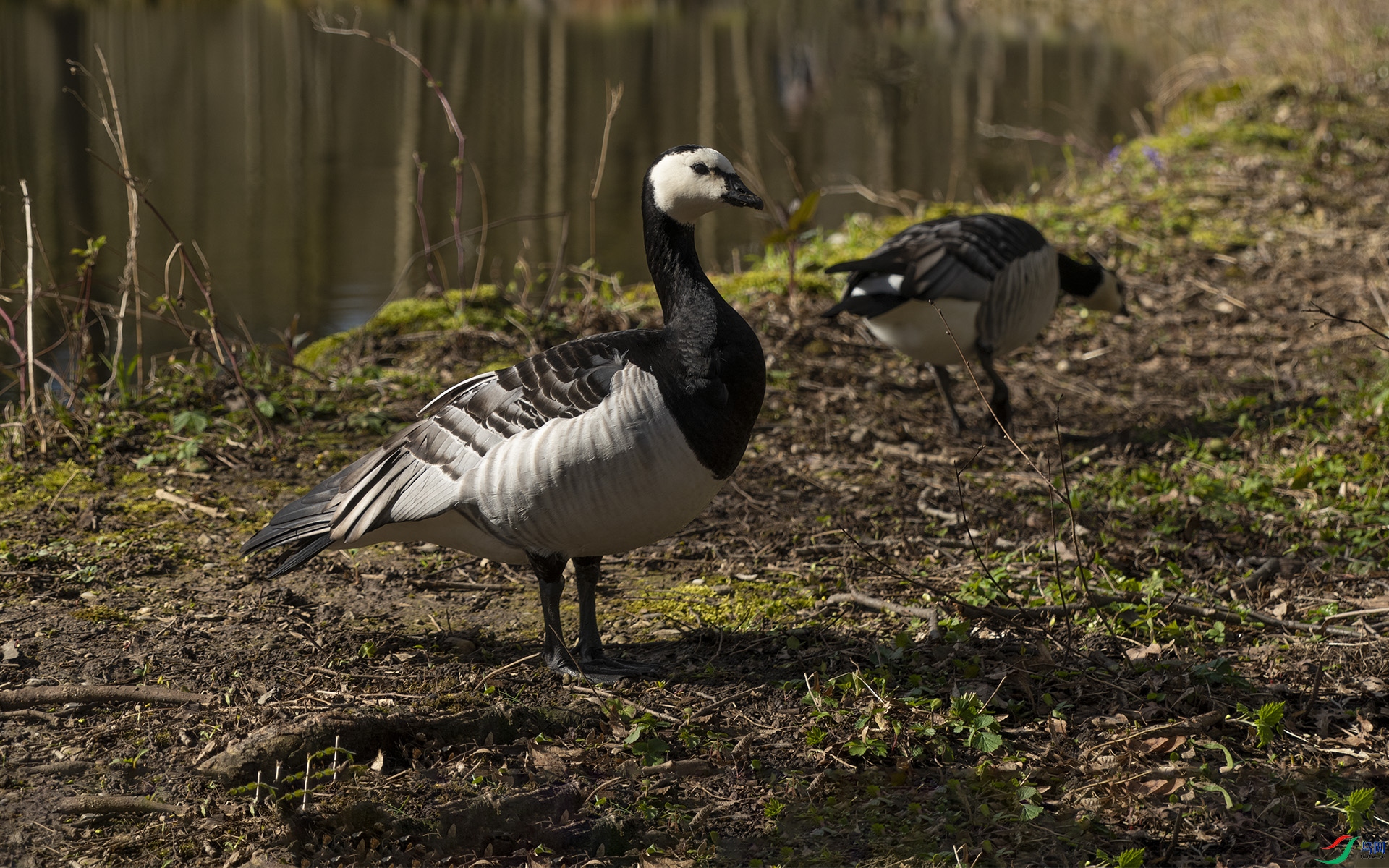 XQD_0193 ���]����.jpg