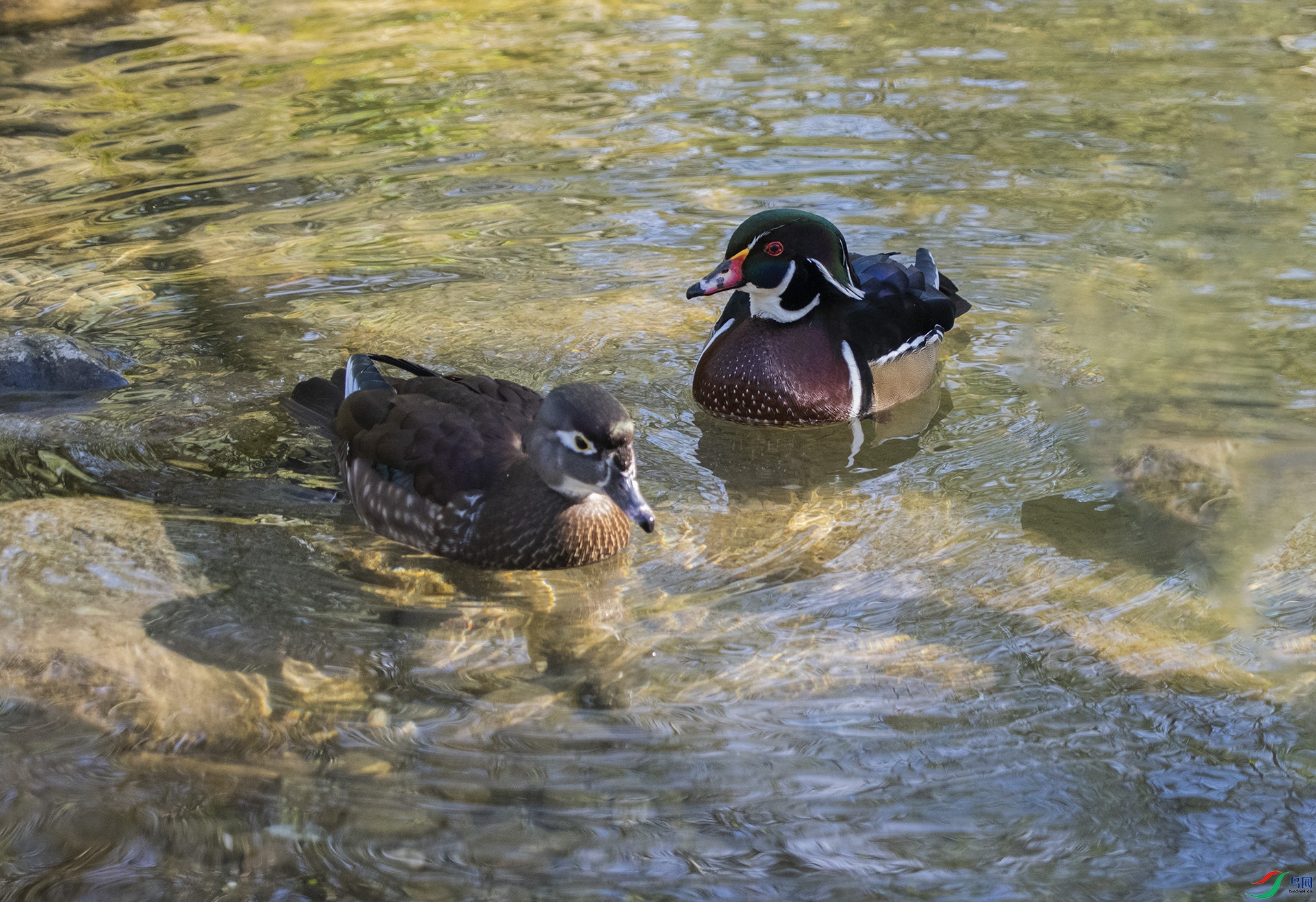 XQD_2029 ��ԧ��.jpg