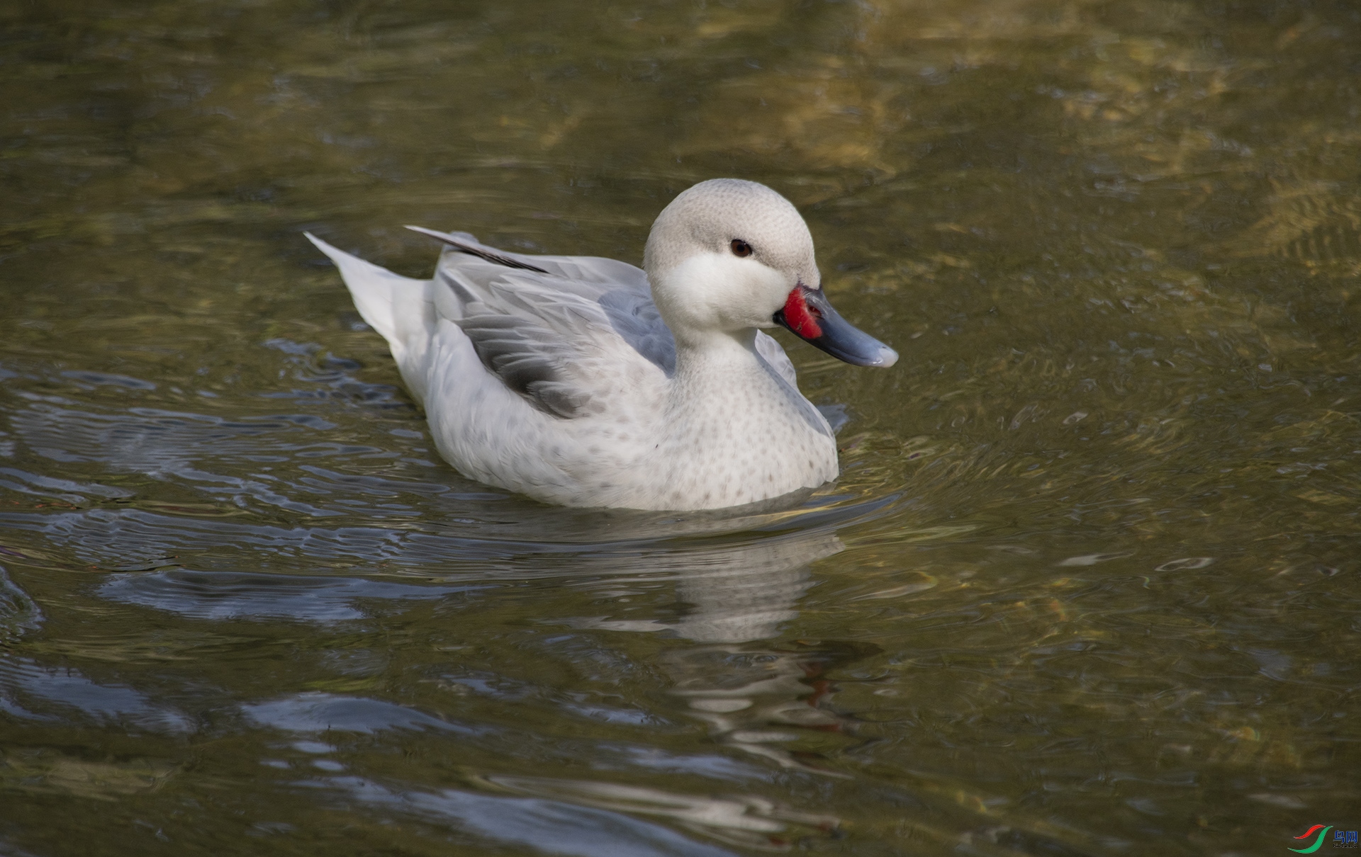 XQD_2453 ������βѼ.jpg