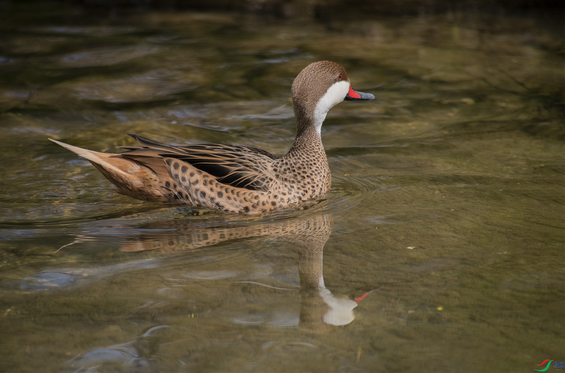 XQD_2825 ������βѼ.jpg