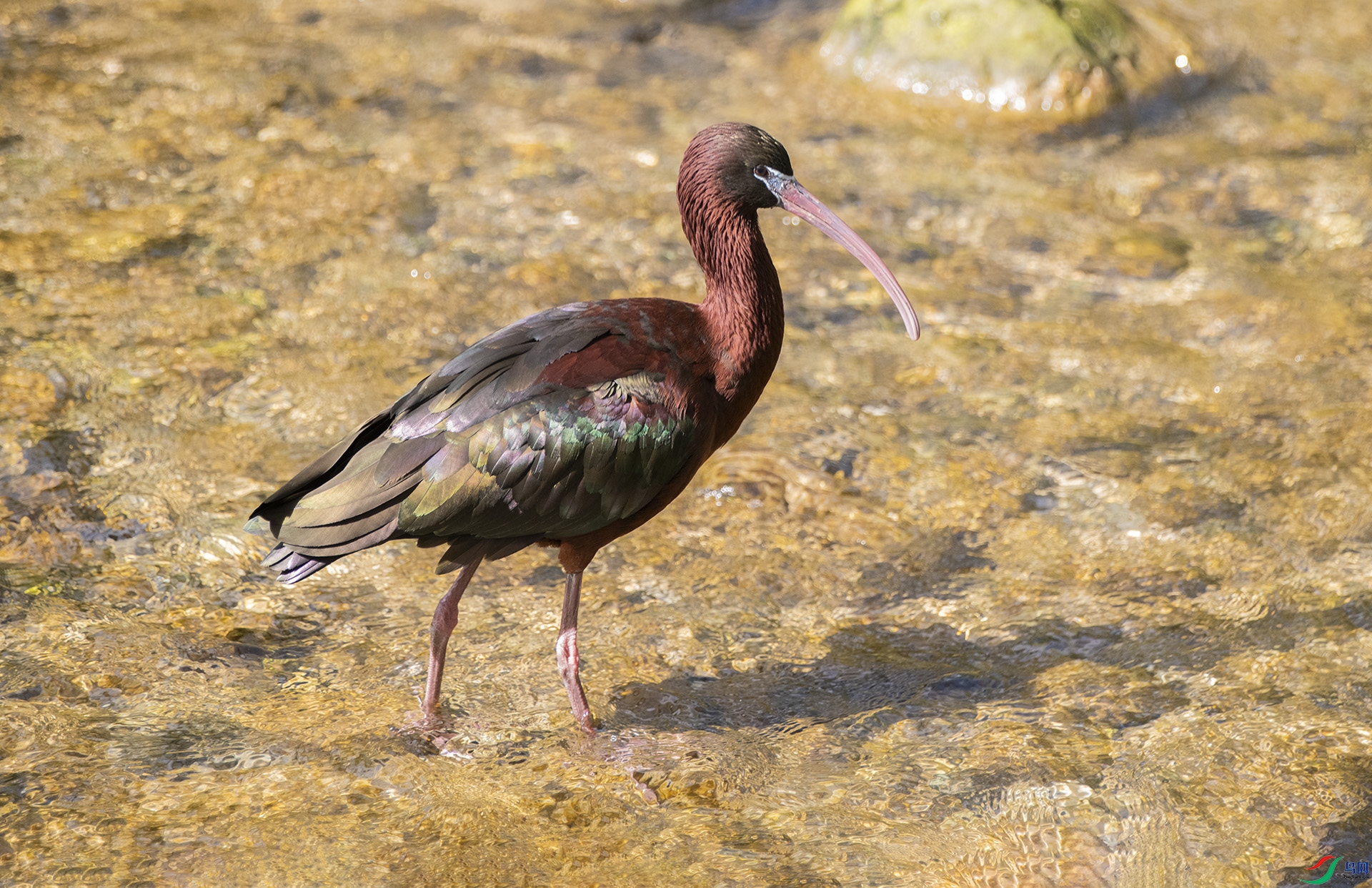 XQD_2532 ���q.jpg