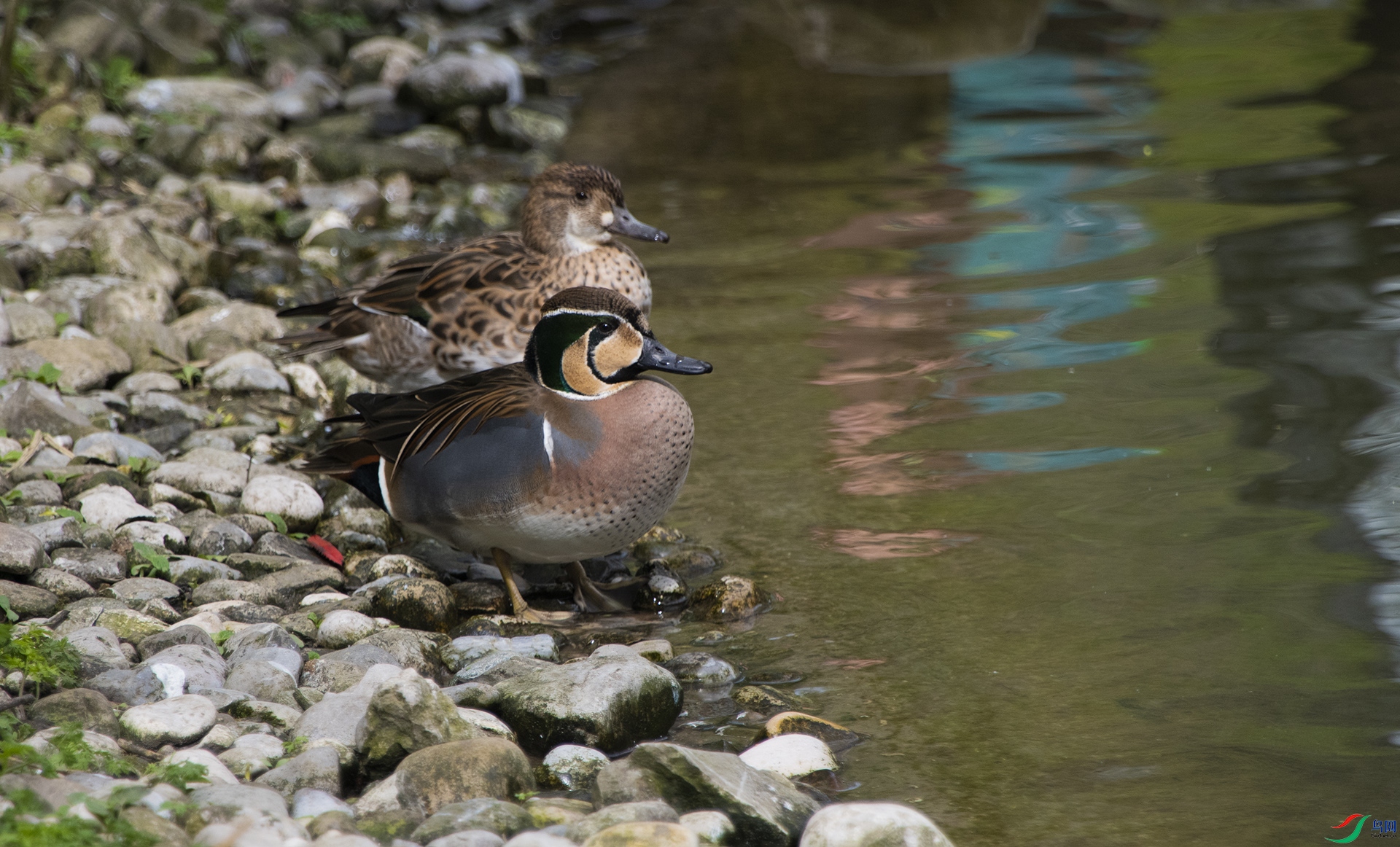 XQD_2560 ����Ѽ.jpg