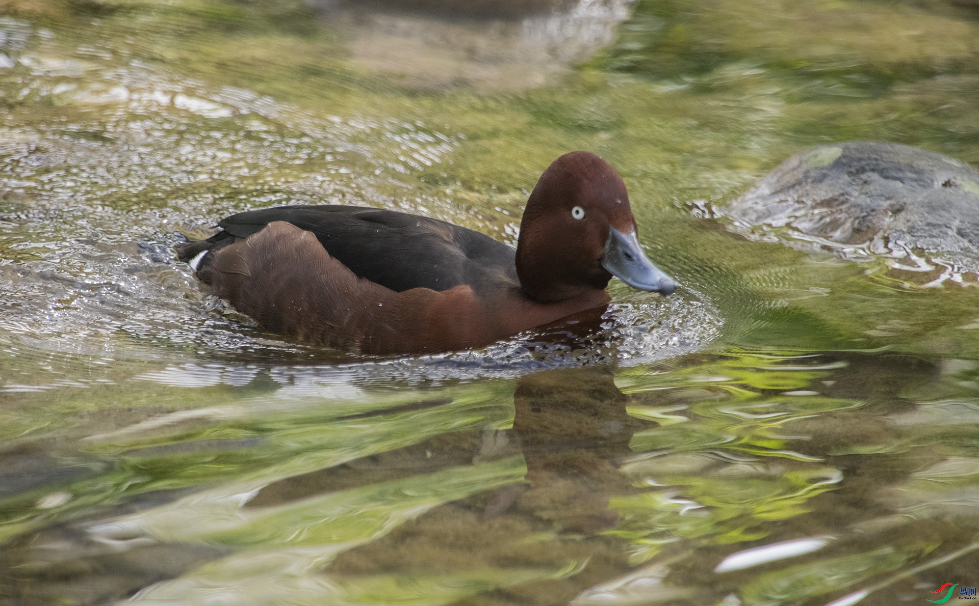 XQD_2710 ����ǱѼ.jpg