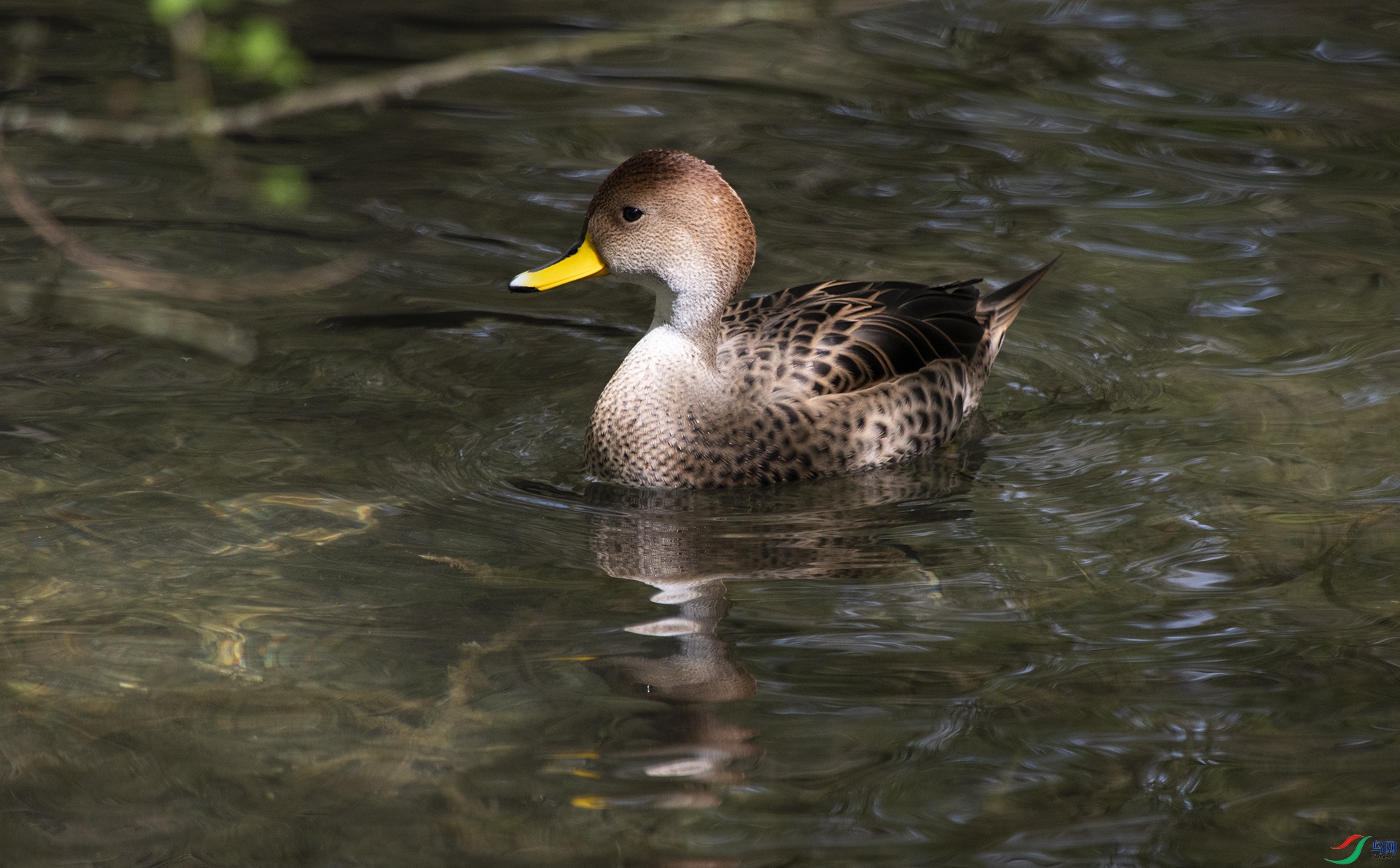 XQD_2657 ������βѼ.jpg