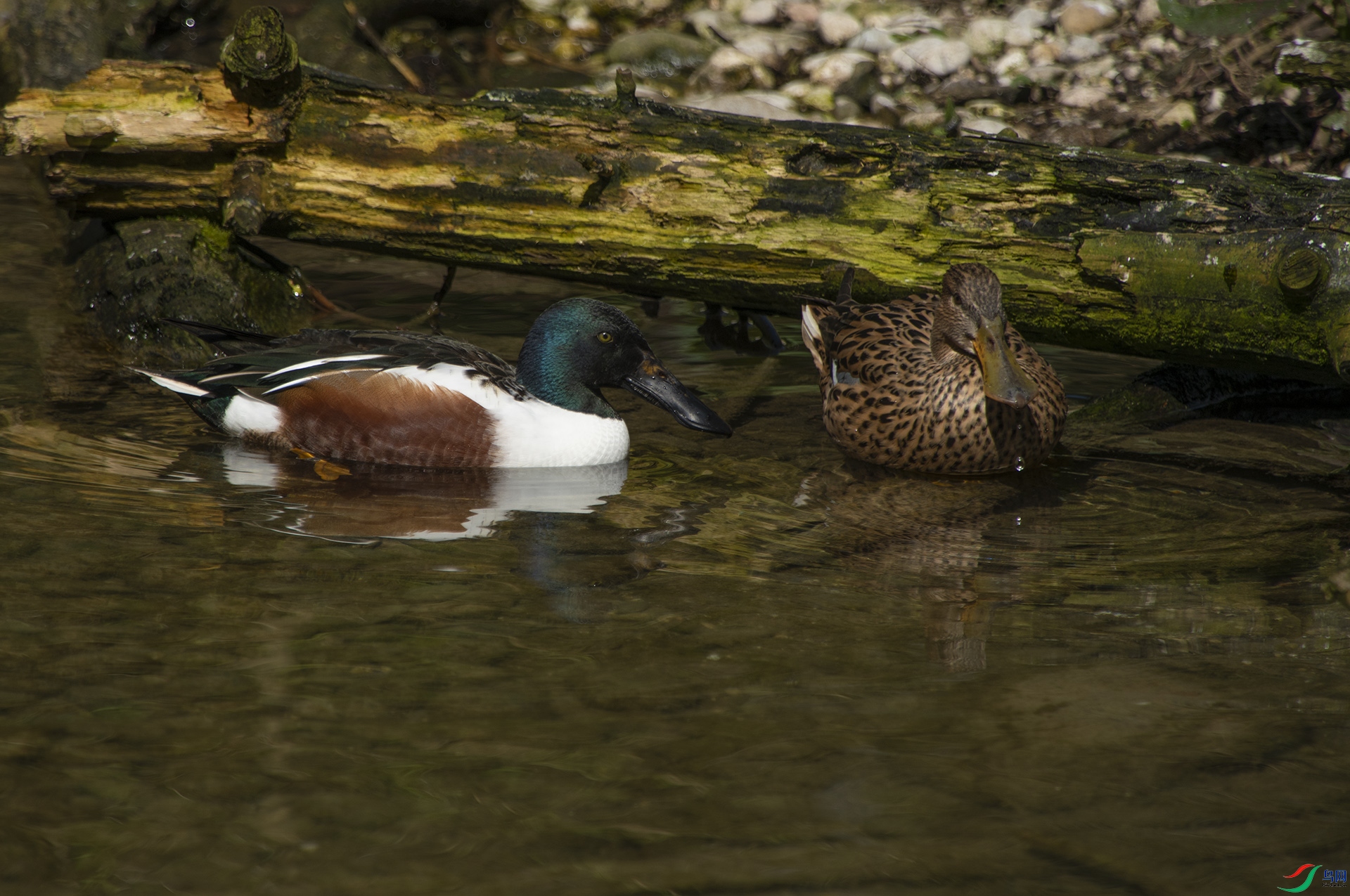 XQD_3677 ����Ѽ.jpg