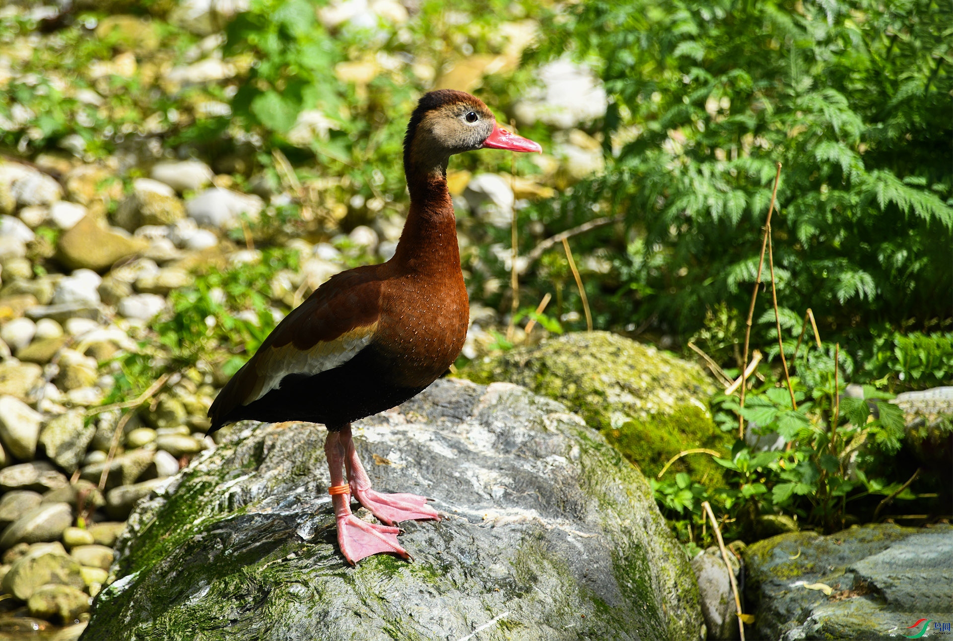 XQD_5573 �ڸ���Ѽ.jpg