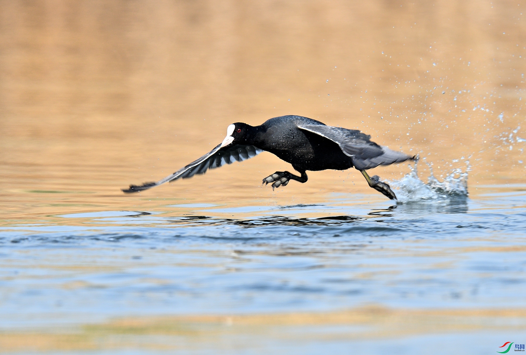 DSC_6587_01.JPG