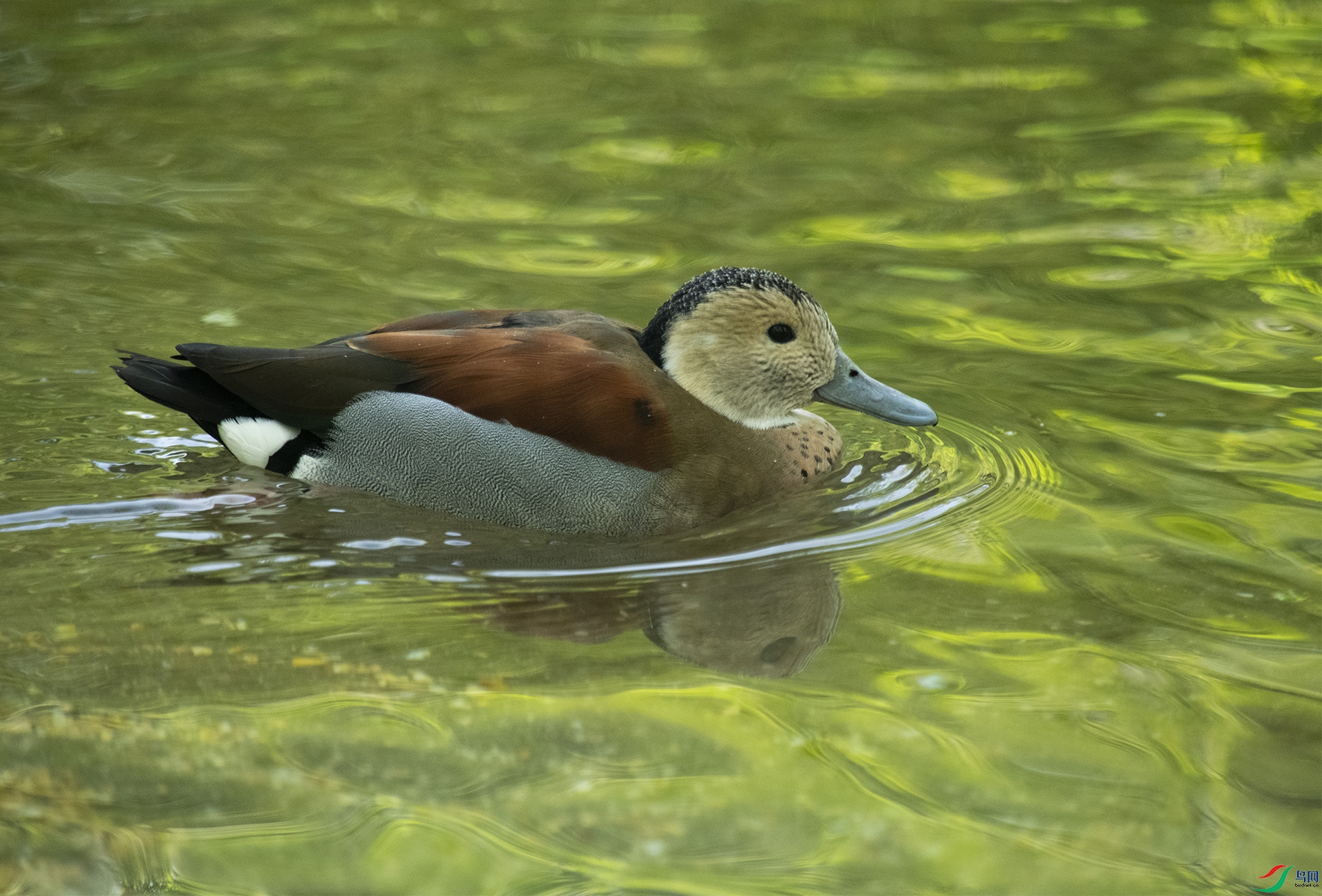 XQD_5262 ����Ѽ.jpg