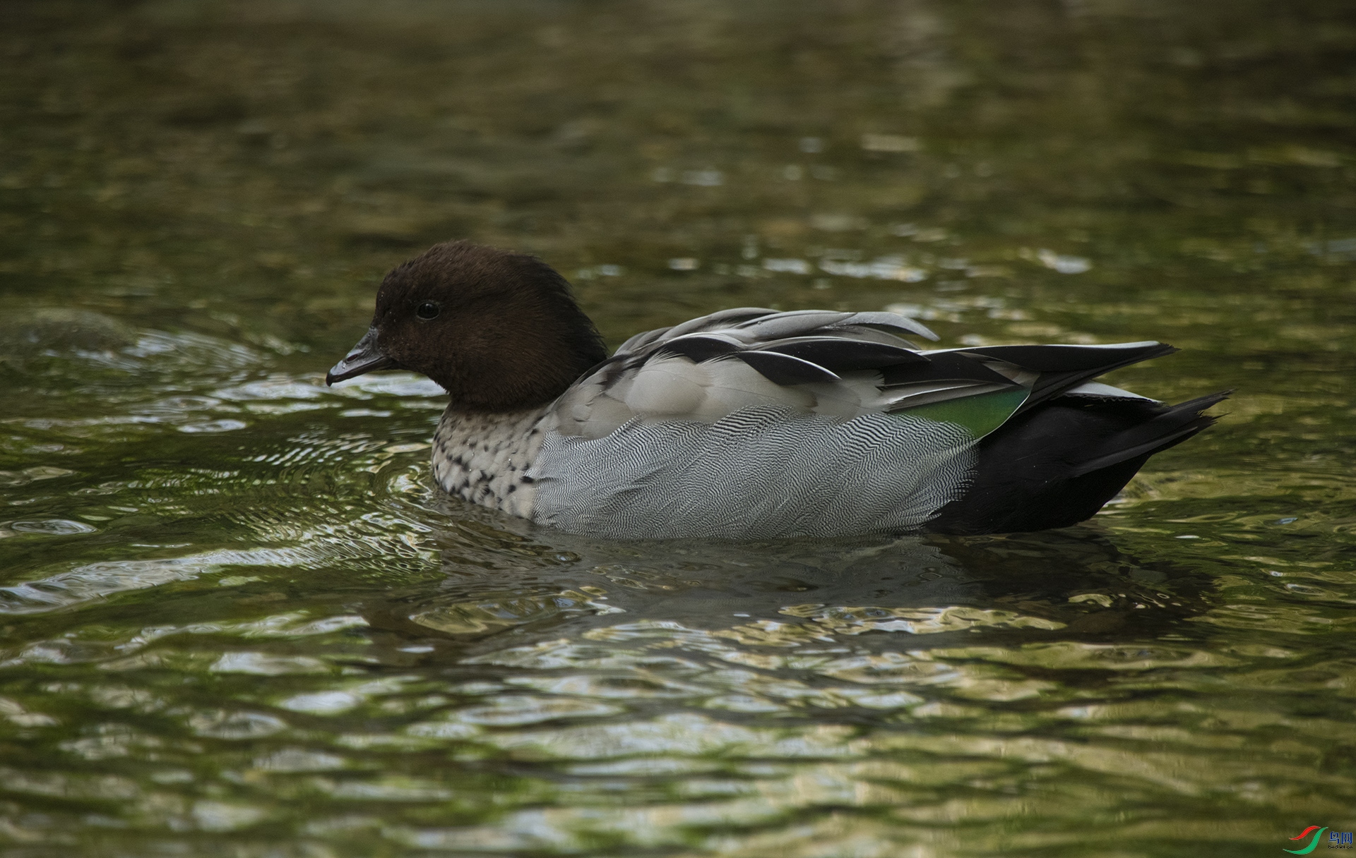 XQD_5077 ����Ѽ.jpg