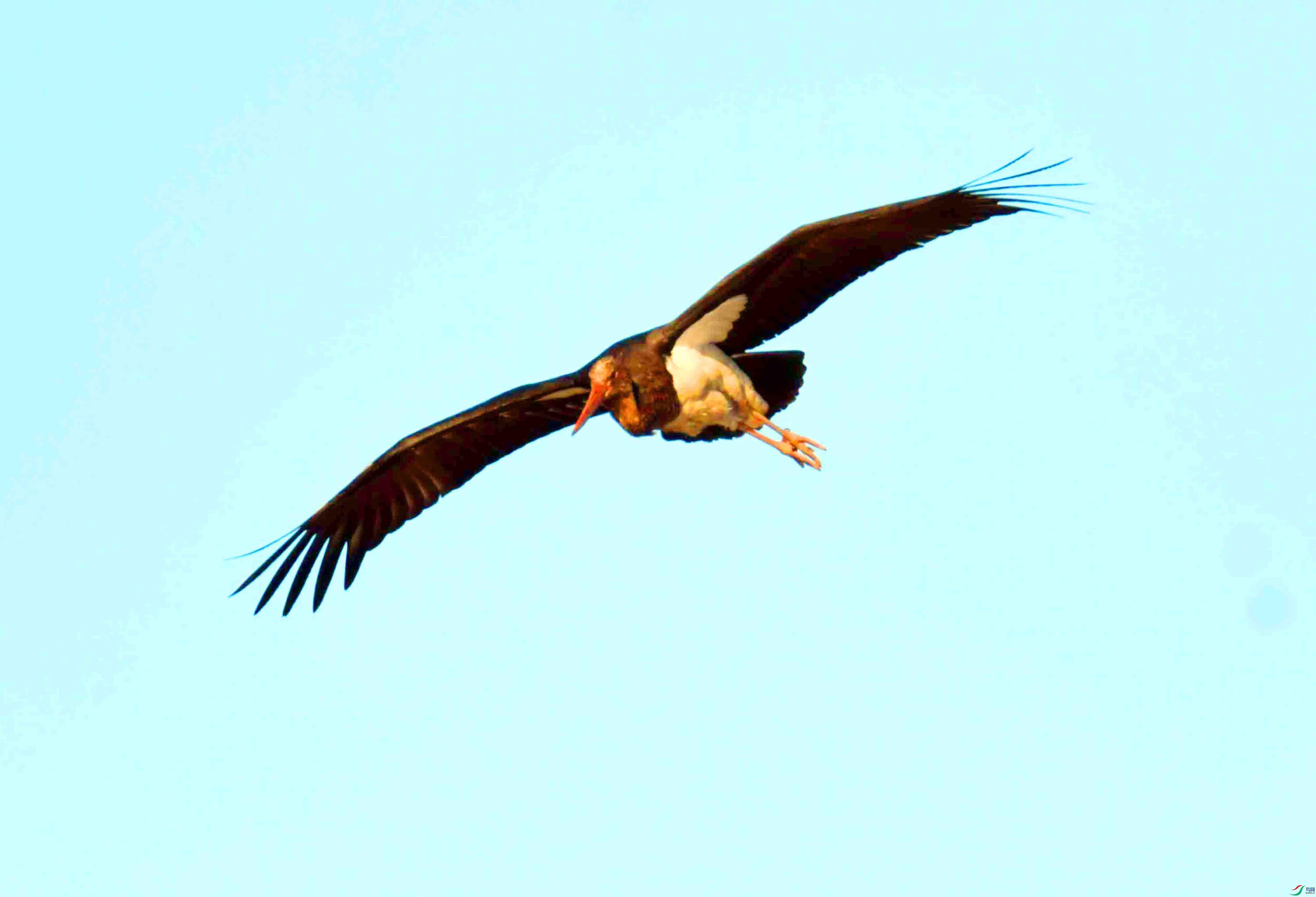 DSC_2945.JPG
