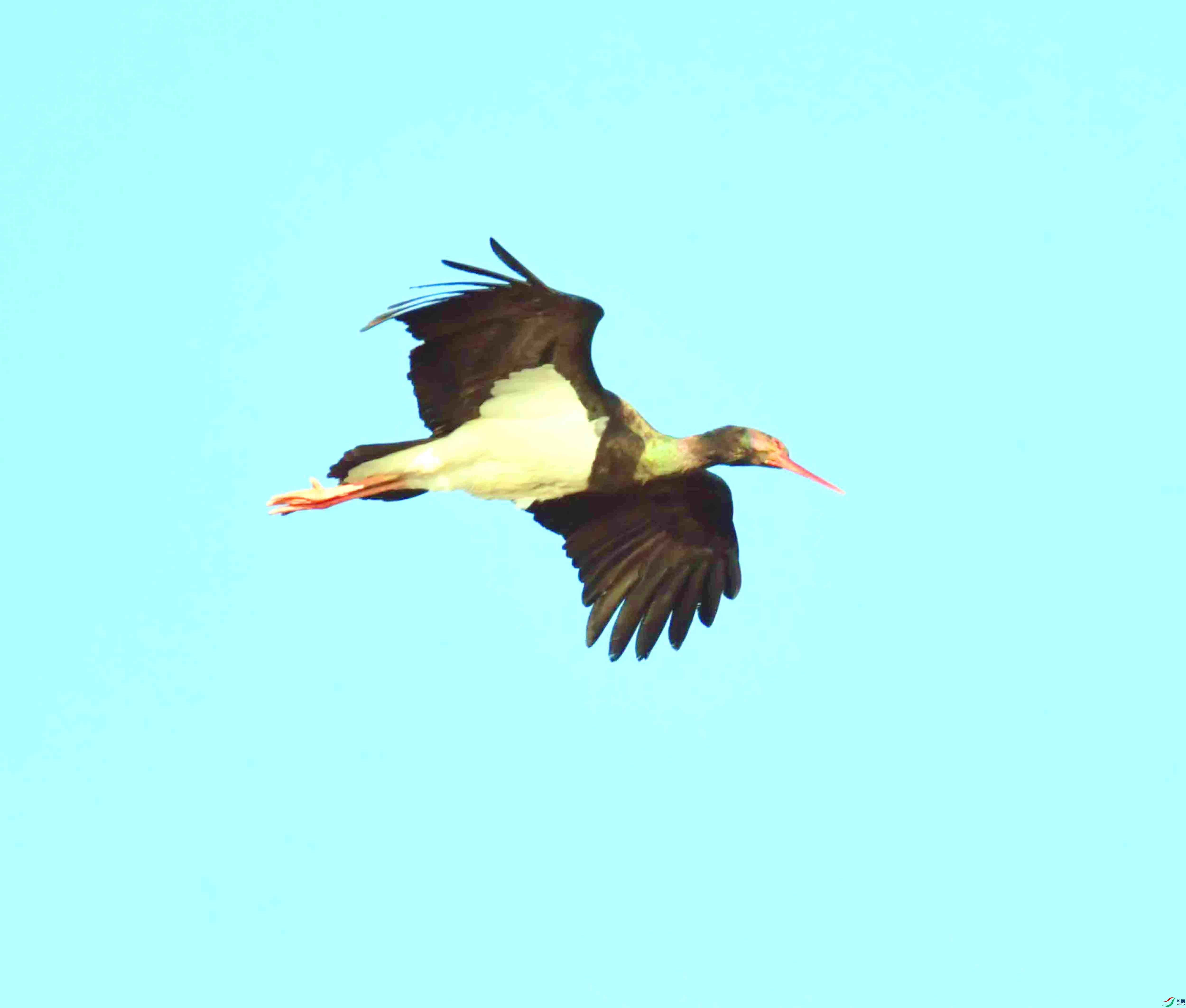 DSC_2956.JPG