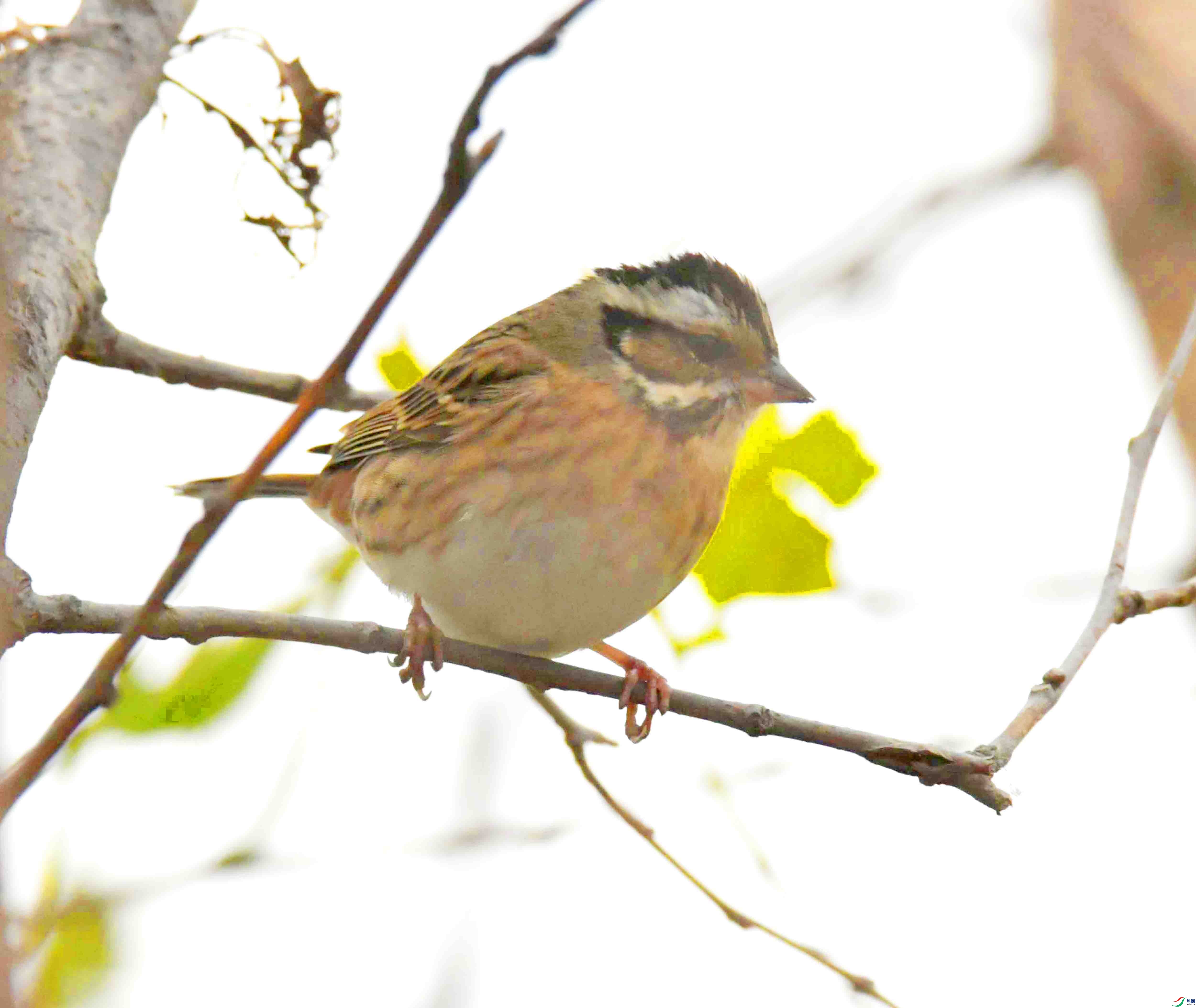 DSC_5612.JPG