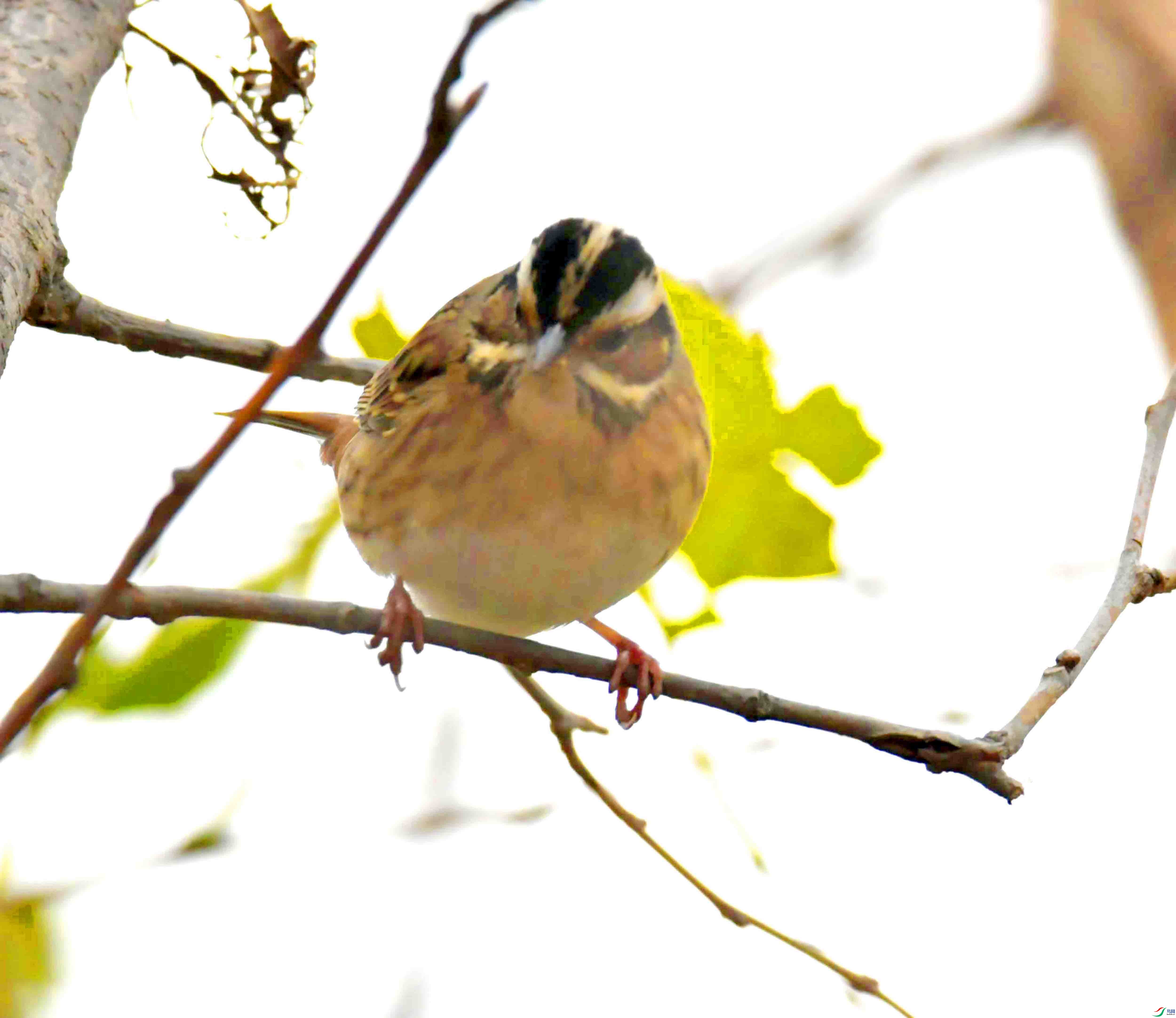 DSC_5620.JPG