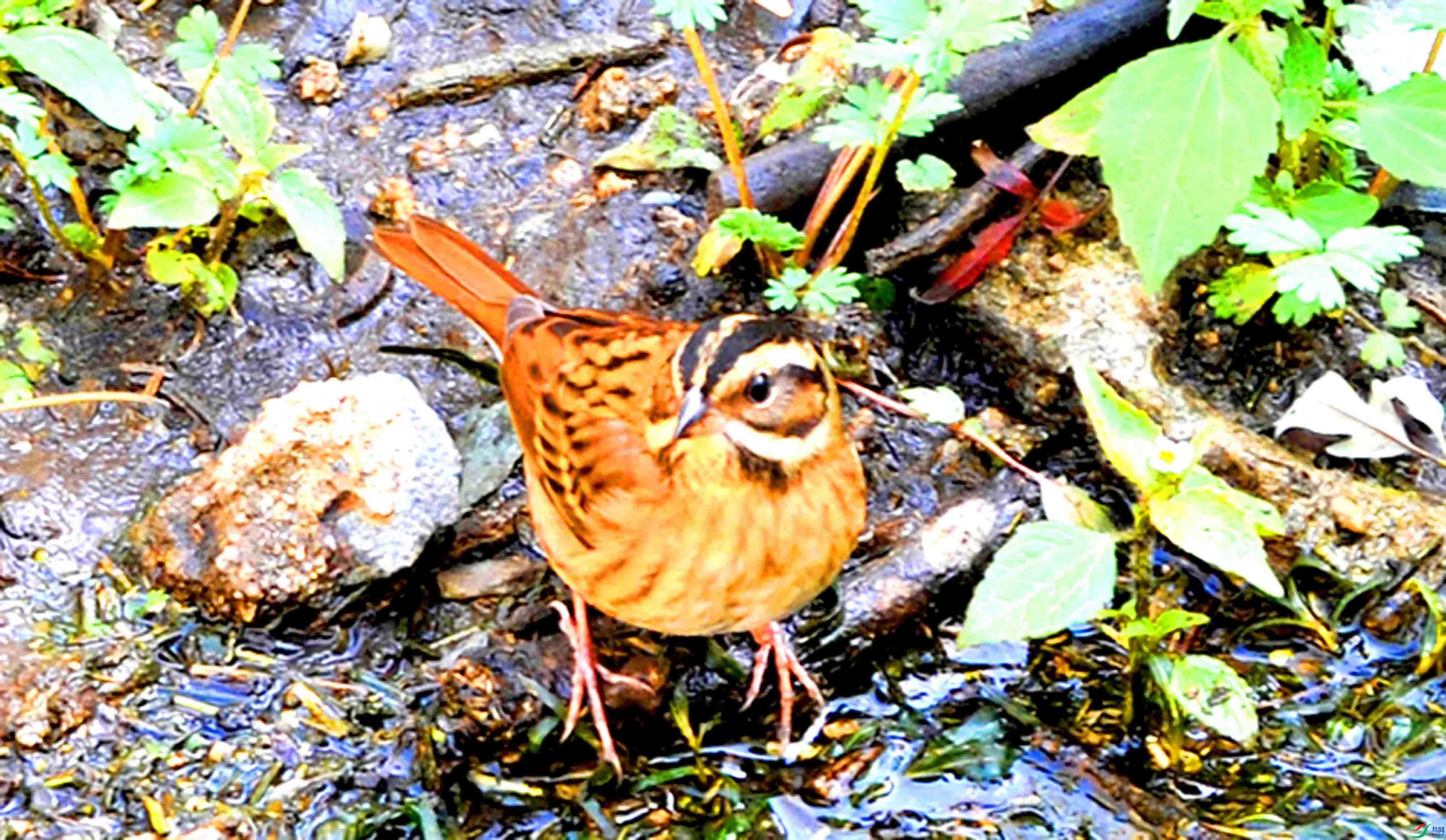 DSC_7834.JPG