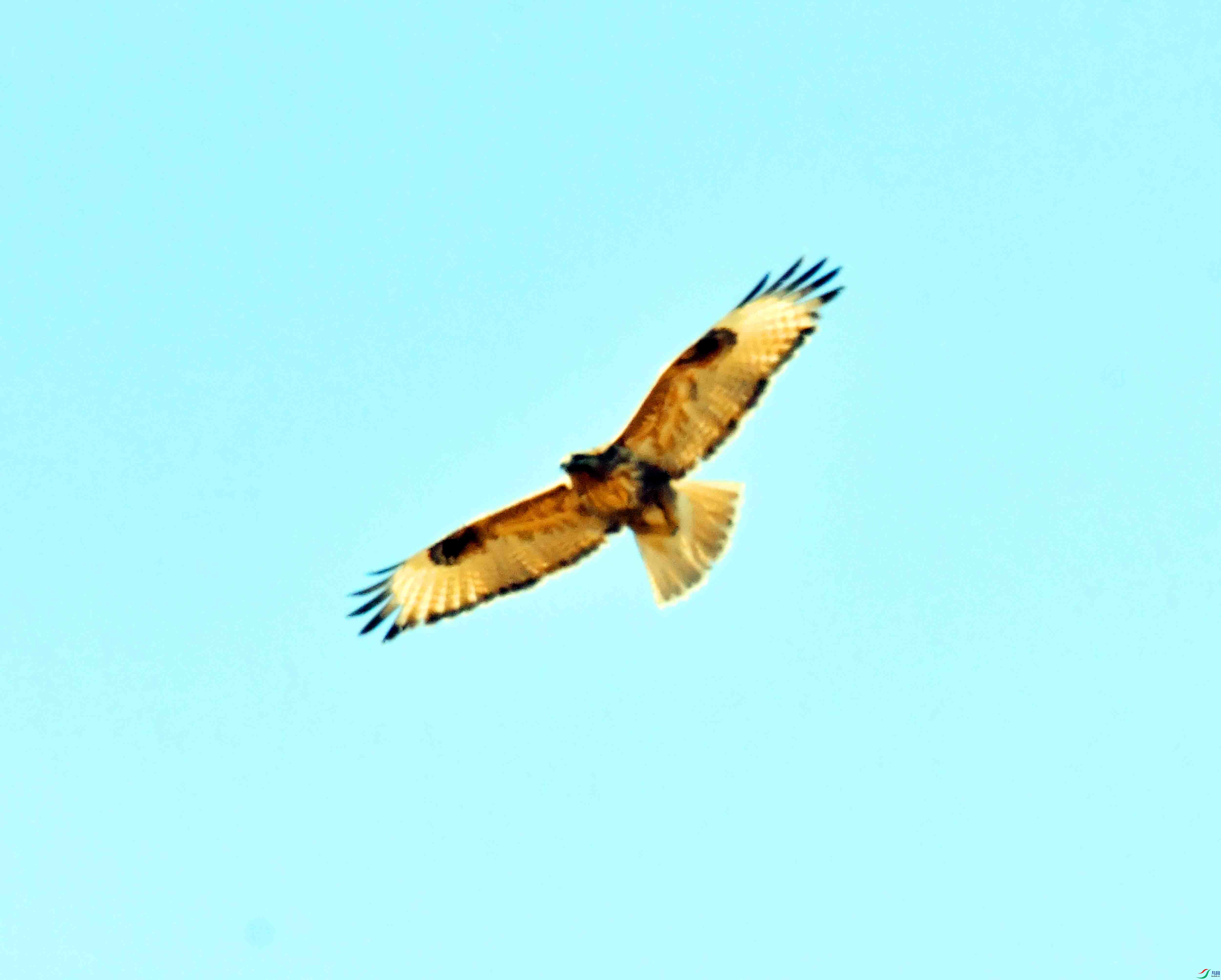 DSC_1261.JPG