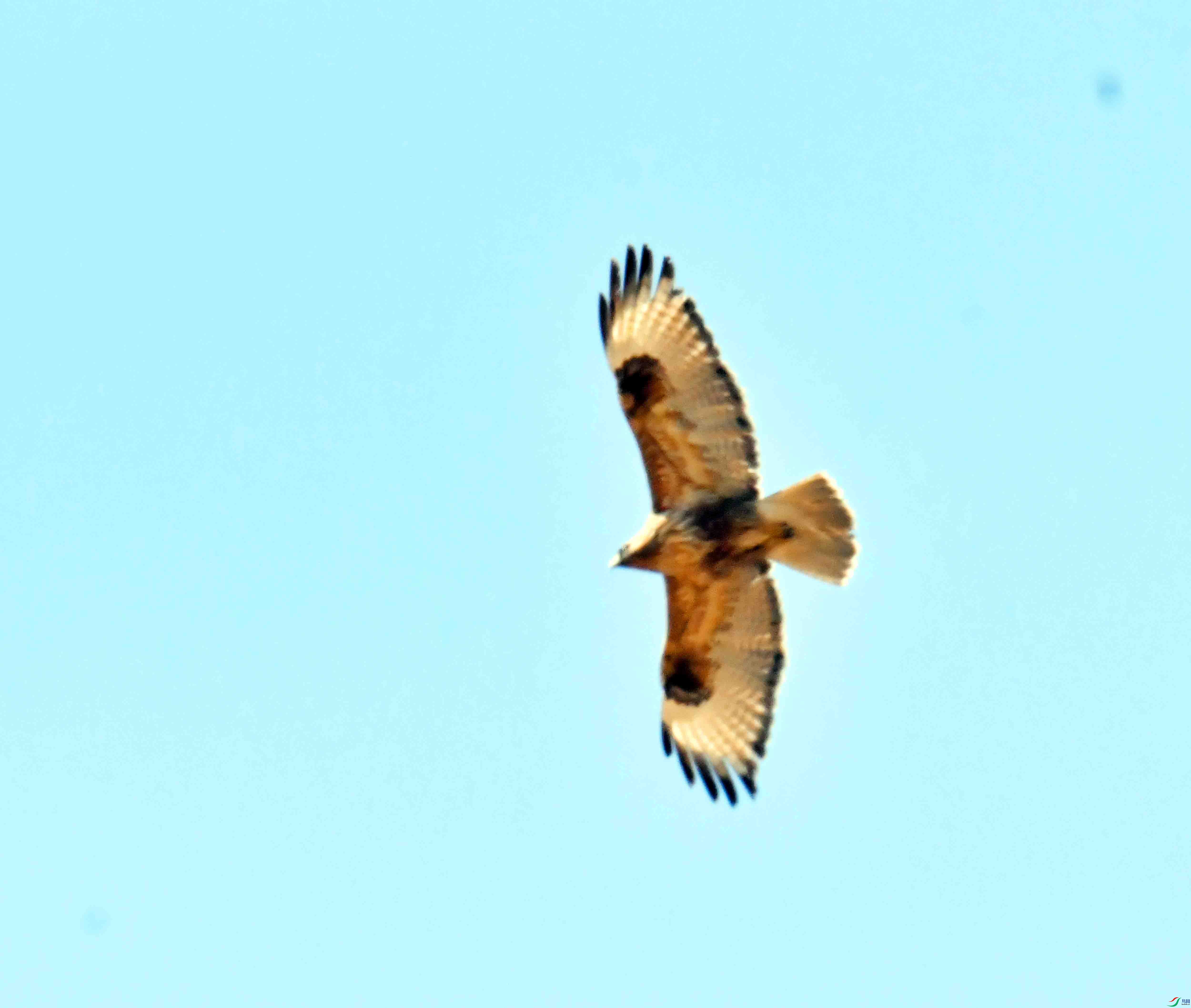 DSC_1267.JPG