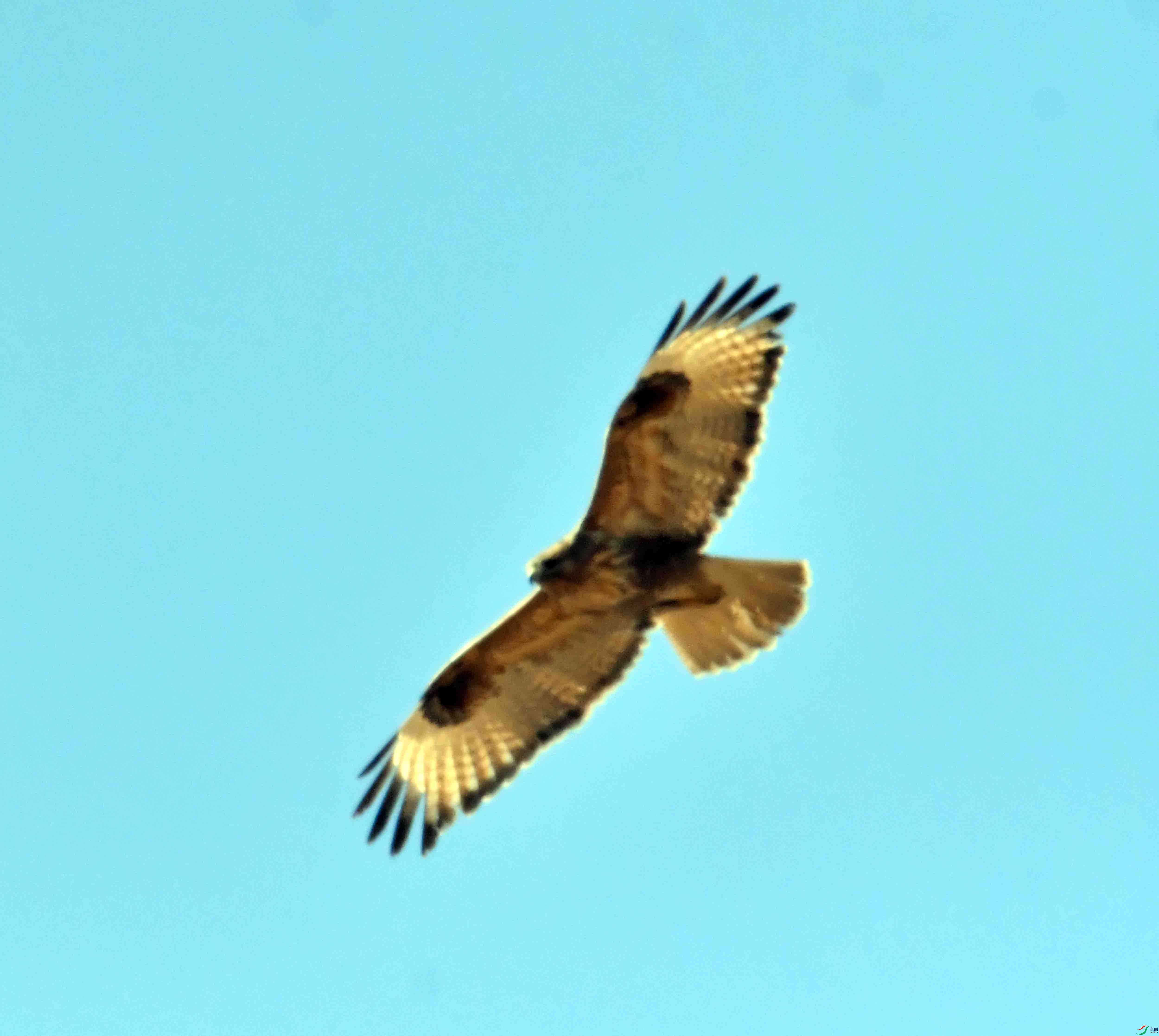 DSC_1265.JPG