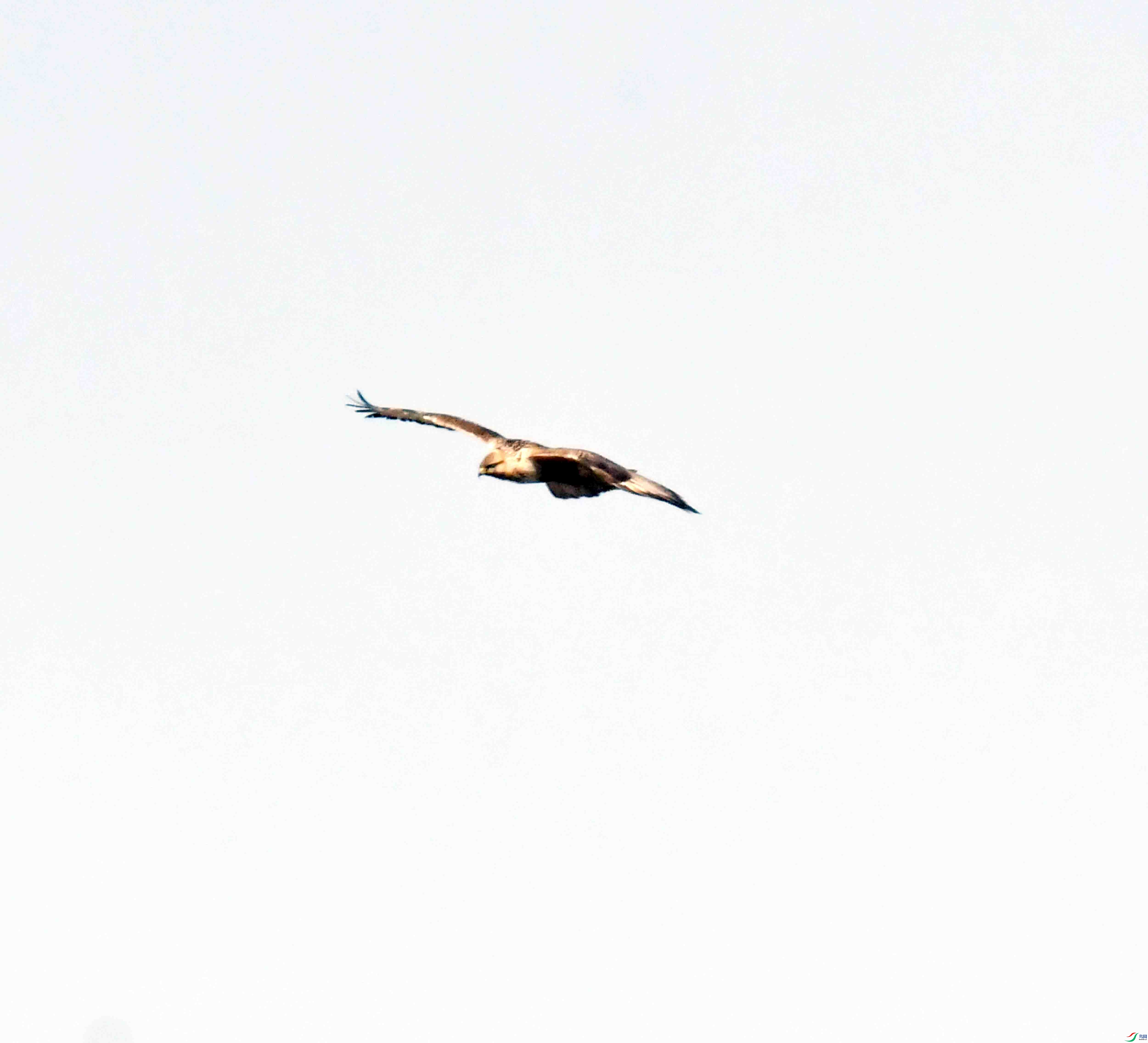 DSC_3180.JPG
