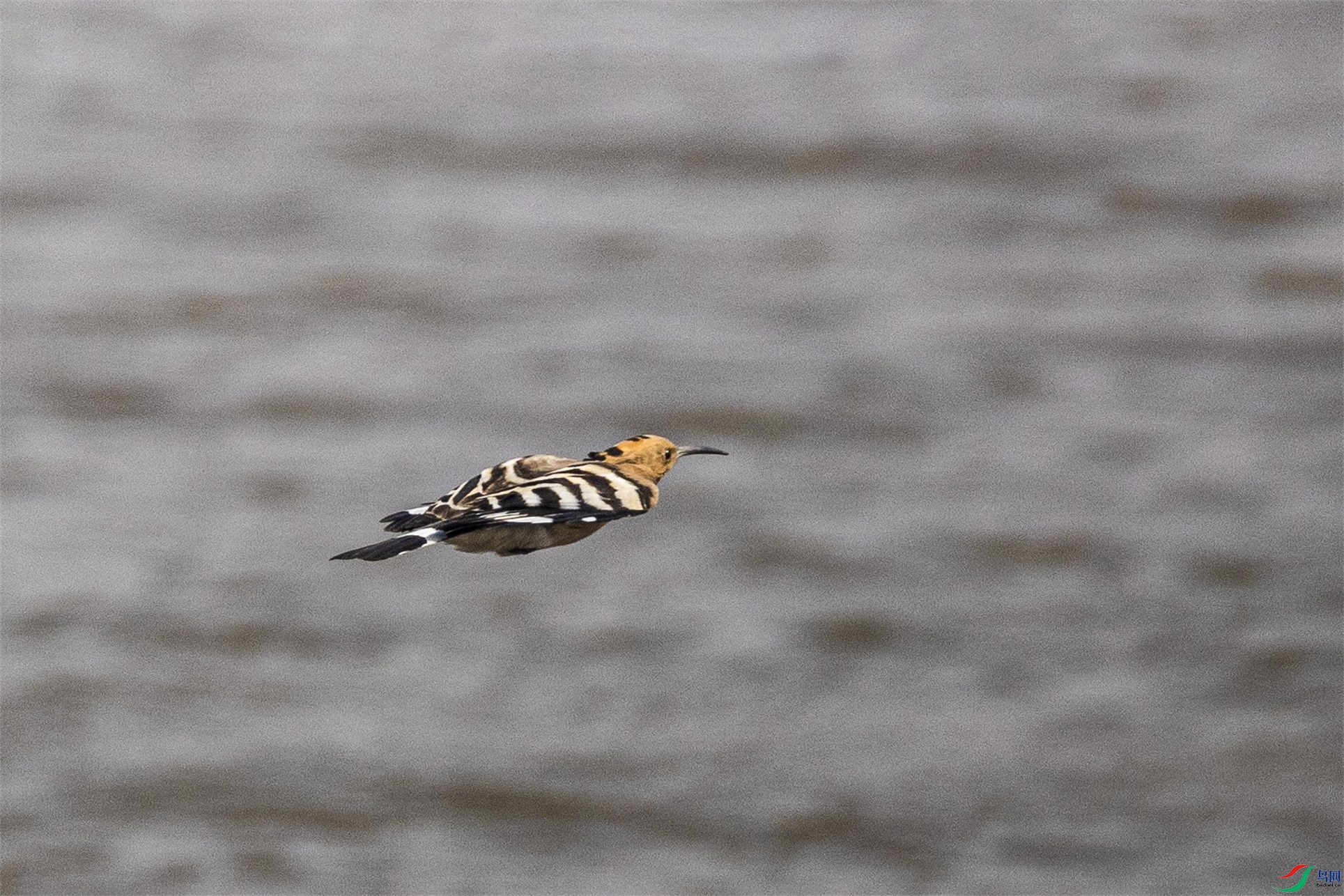 1K3A6610 ����1.jpg