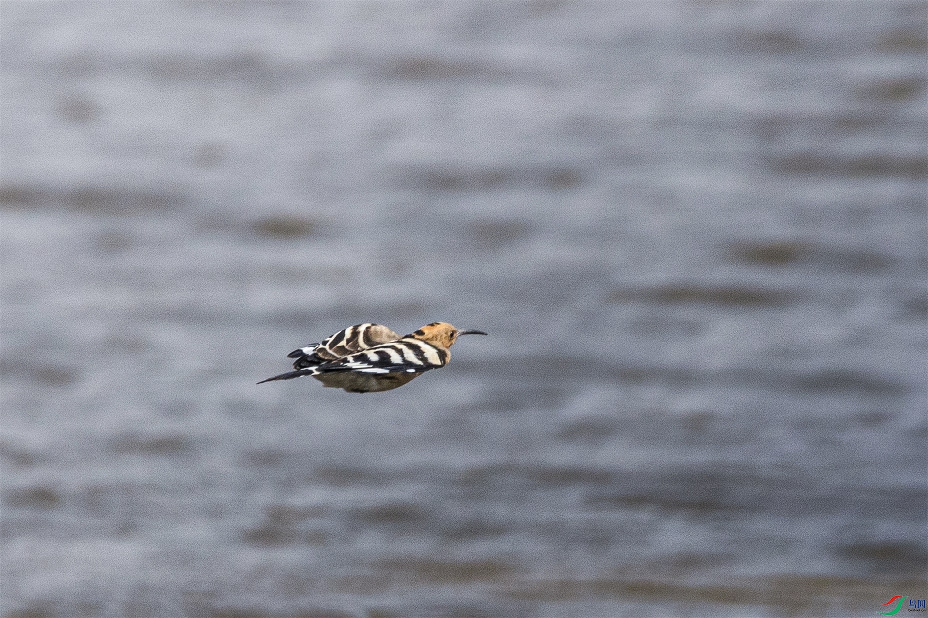 1K3A6612 ����1.jpg